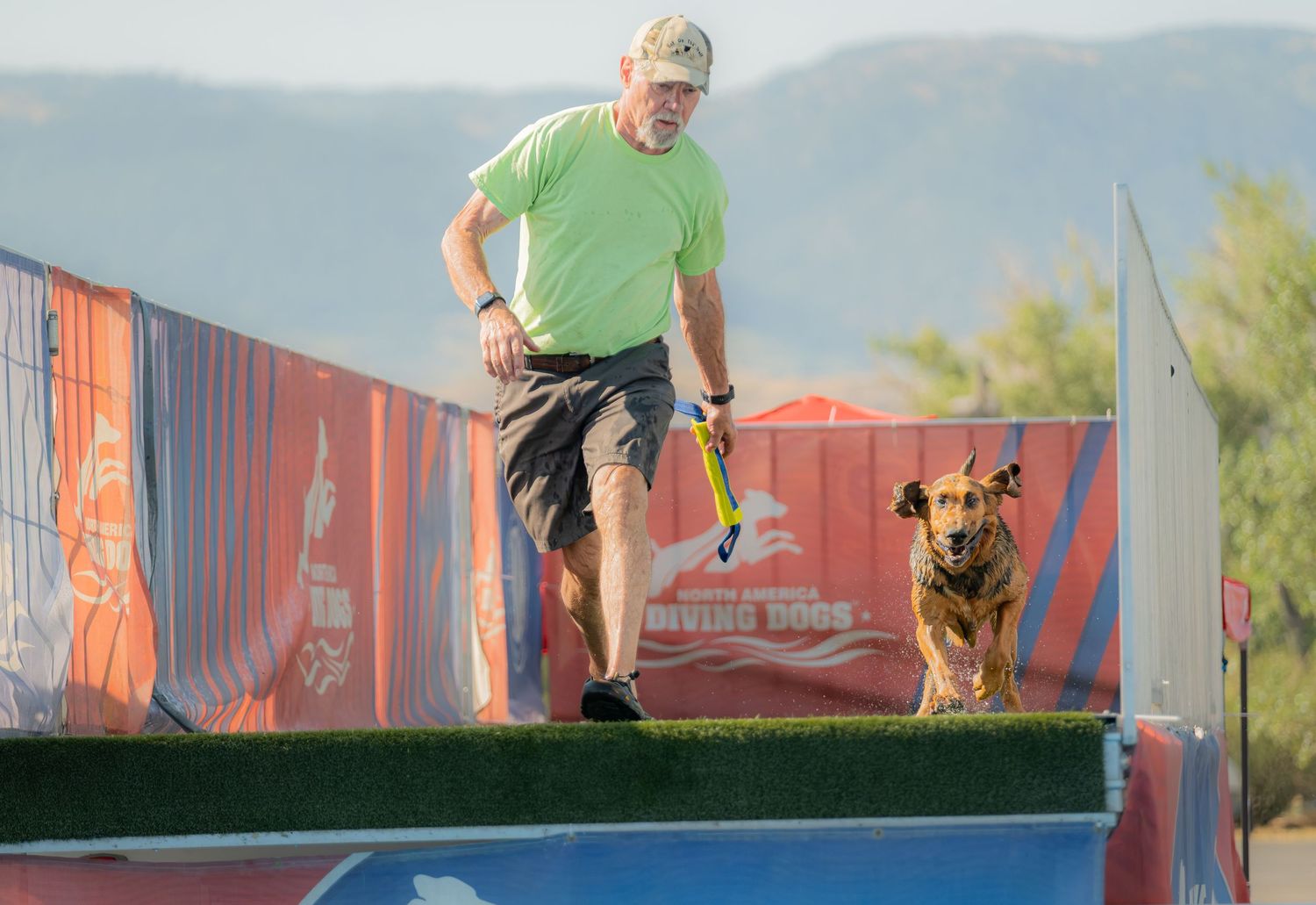 Man in green shirt running with a dog on an agility course ramp at an outdoor dog sports competition.