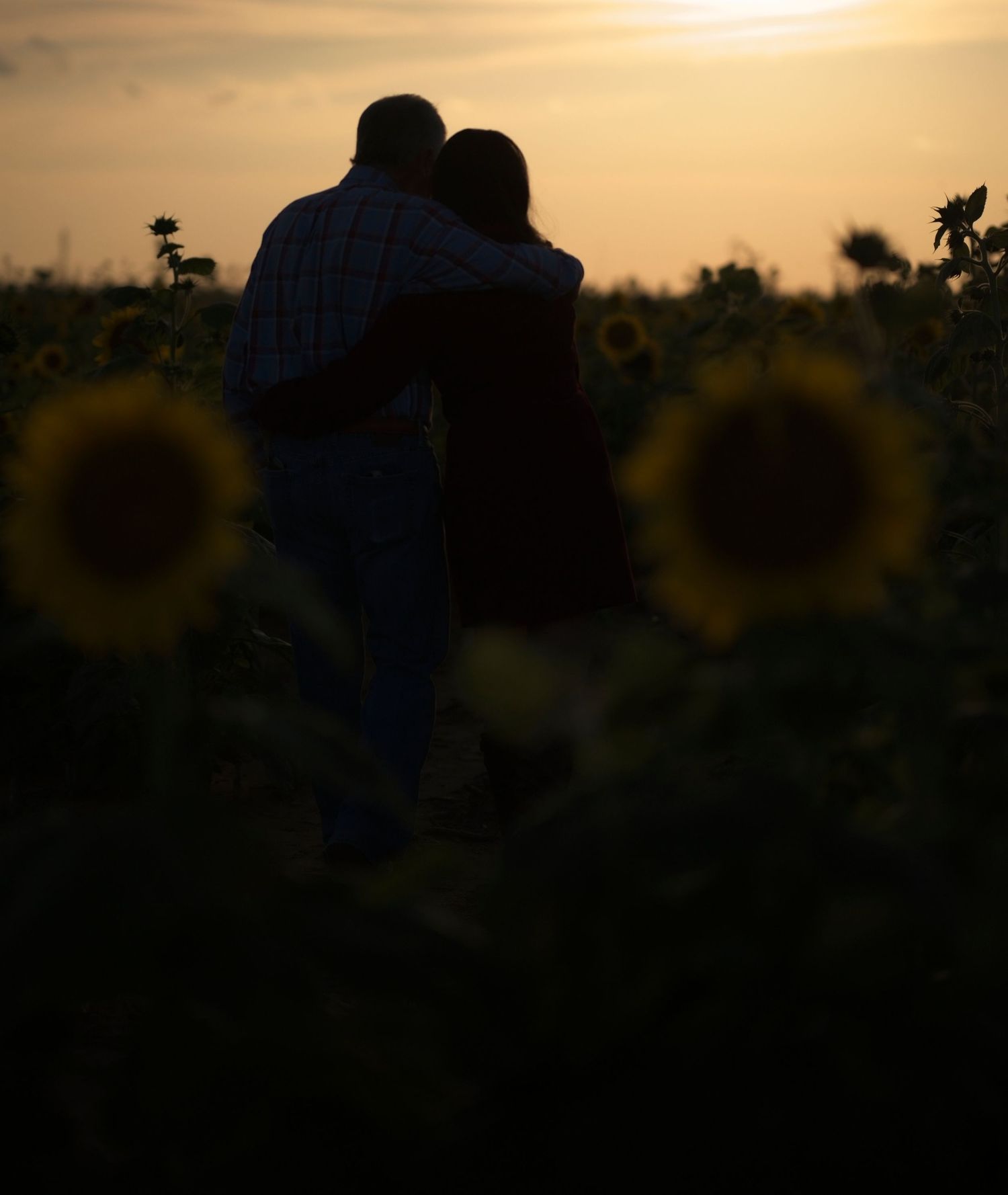 Silhouetted couple watching sunset in a field of sunflowers.