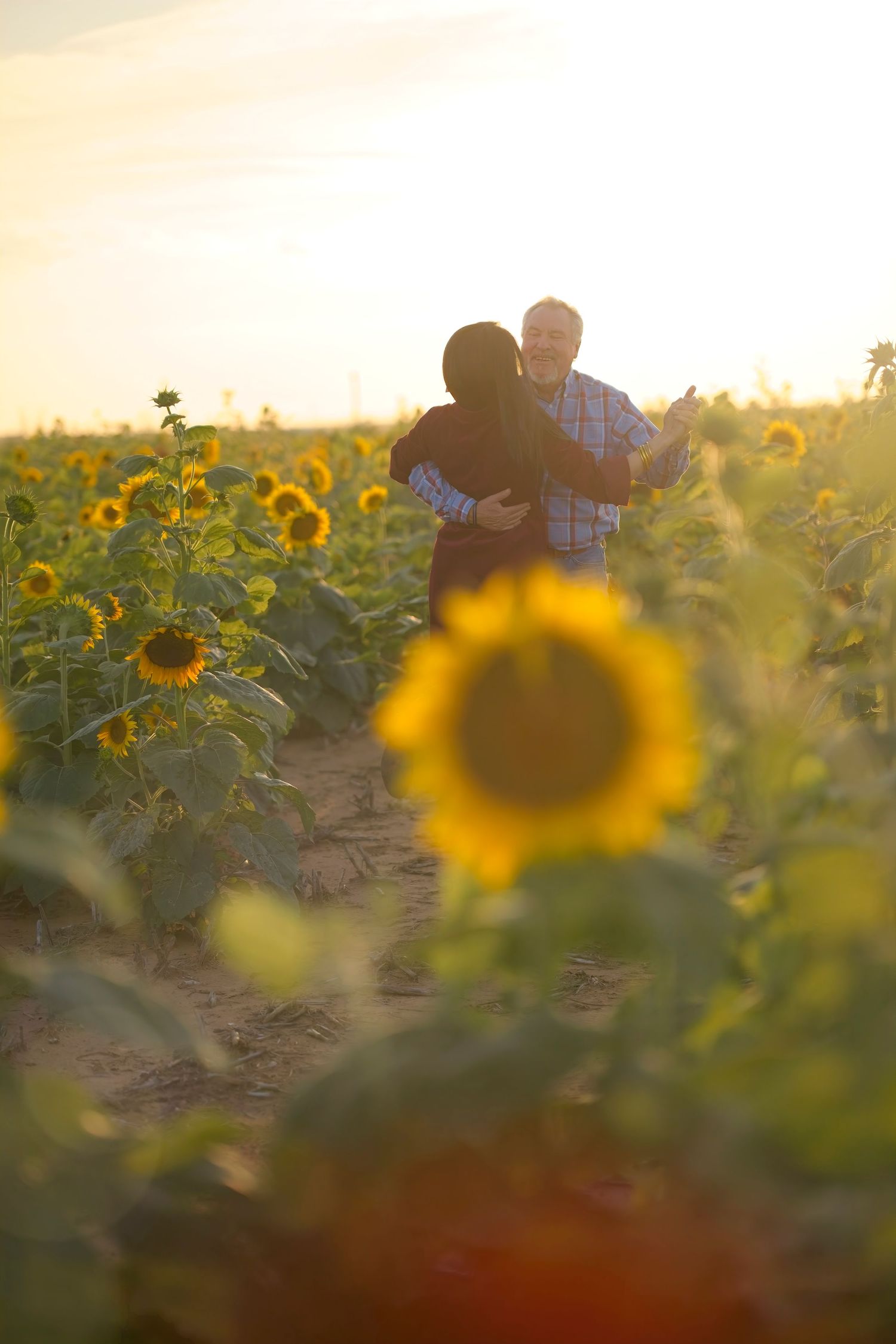 Silhouettes of embracing couple amidst vibrant sunflower field at sunset.