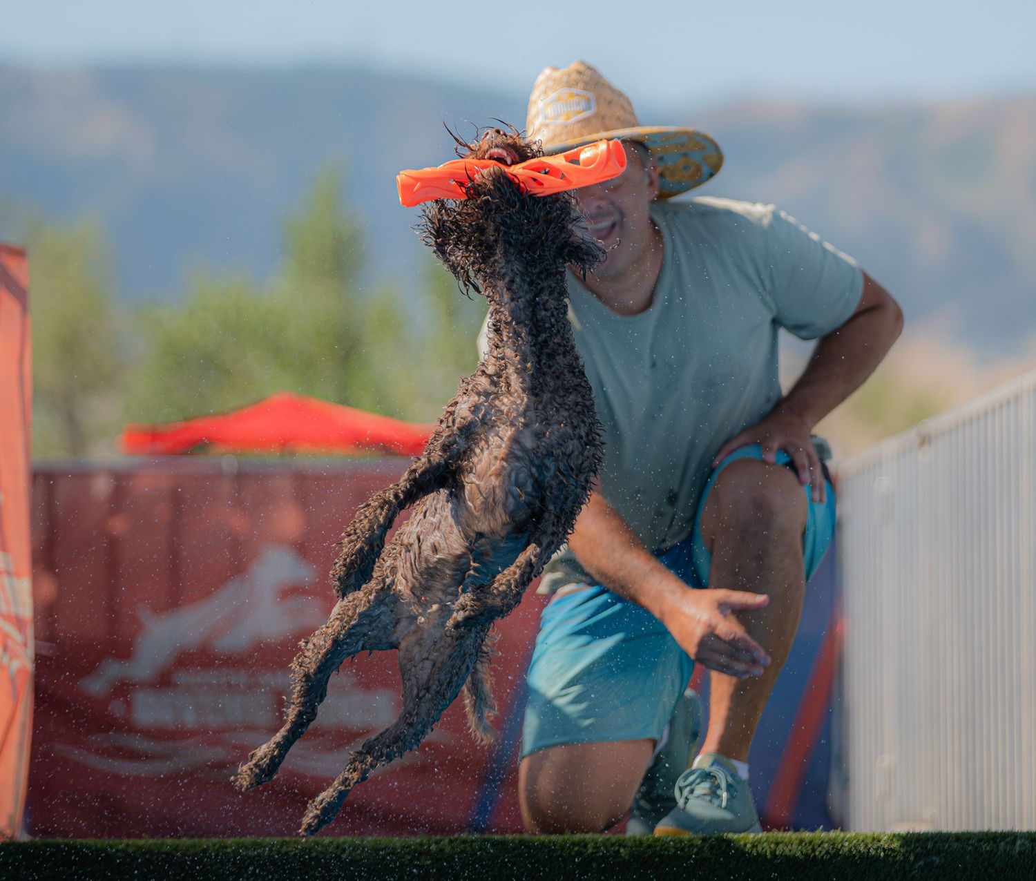 Man in straw hat runs with curly dog leaping to catch an orange frisbee outdoors.