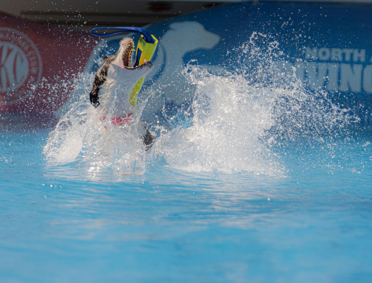 Person in snorkel gear splashing through a bright blue pool at a North swimming event.