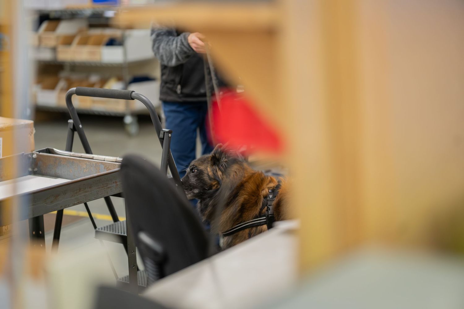 Blurred classroom scene with students and chairs in an indoor school environment.