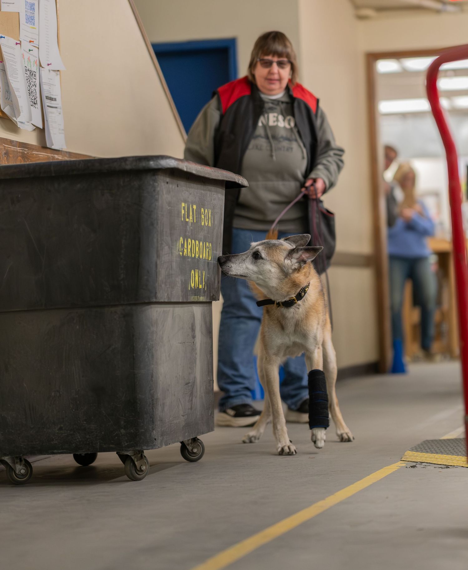 Woman walking a dog on a leash inside a warehouse facility, dog wearing a bandage on its leg.