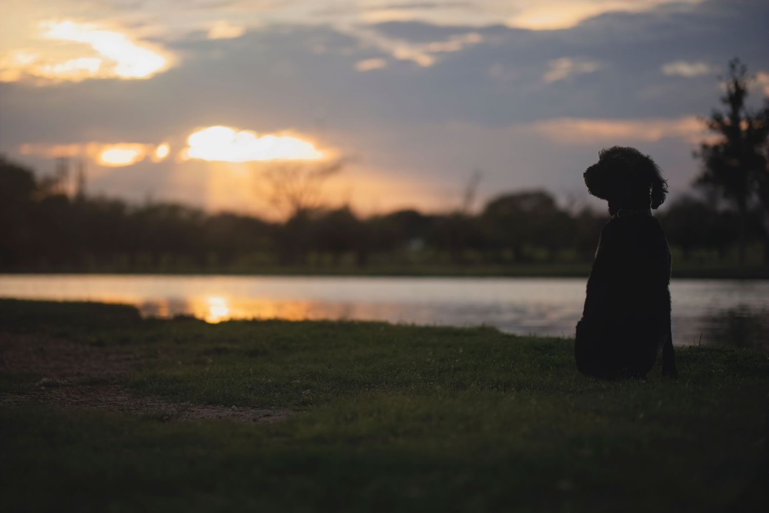 Silhouette figure watching sunset by a lake with dramatic clouds in the background.