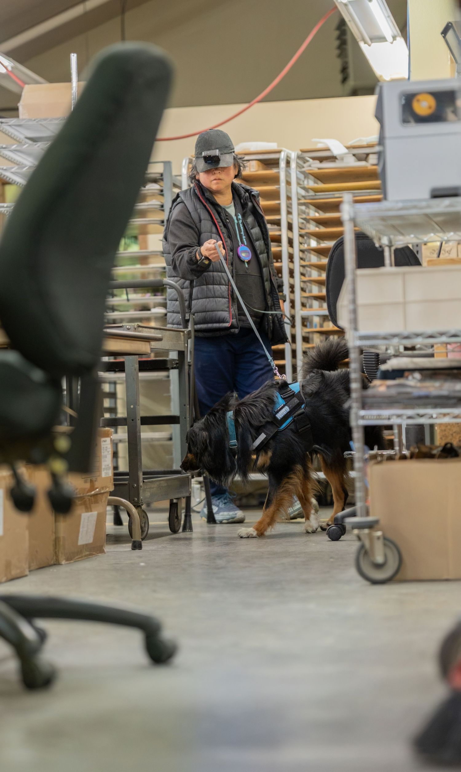 Woman with service dog in harness navigating through a warehouse storage area with shelving and office chairs.