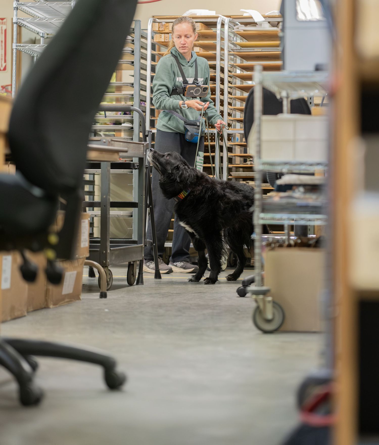 Woman in green hoodie walking a black dog through a warehouse storage facility with shelving units.