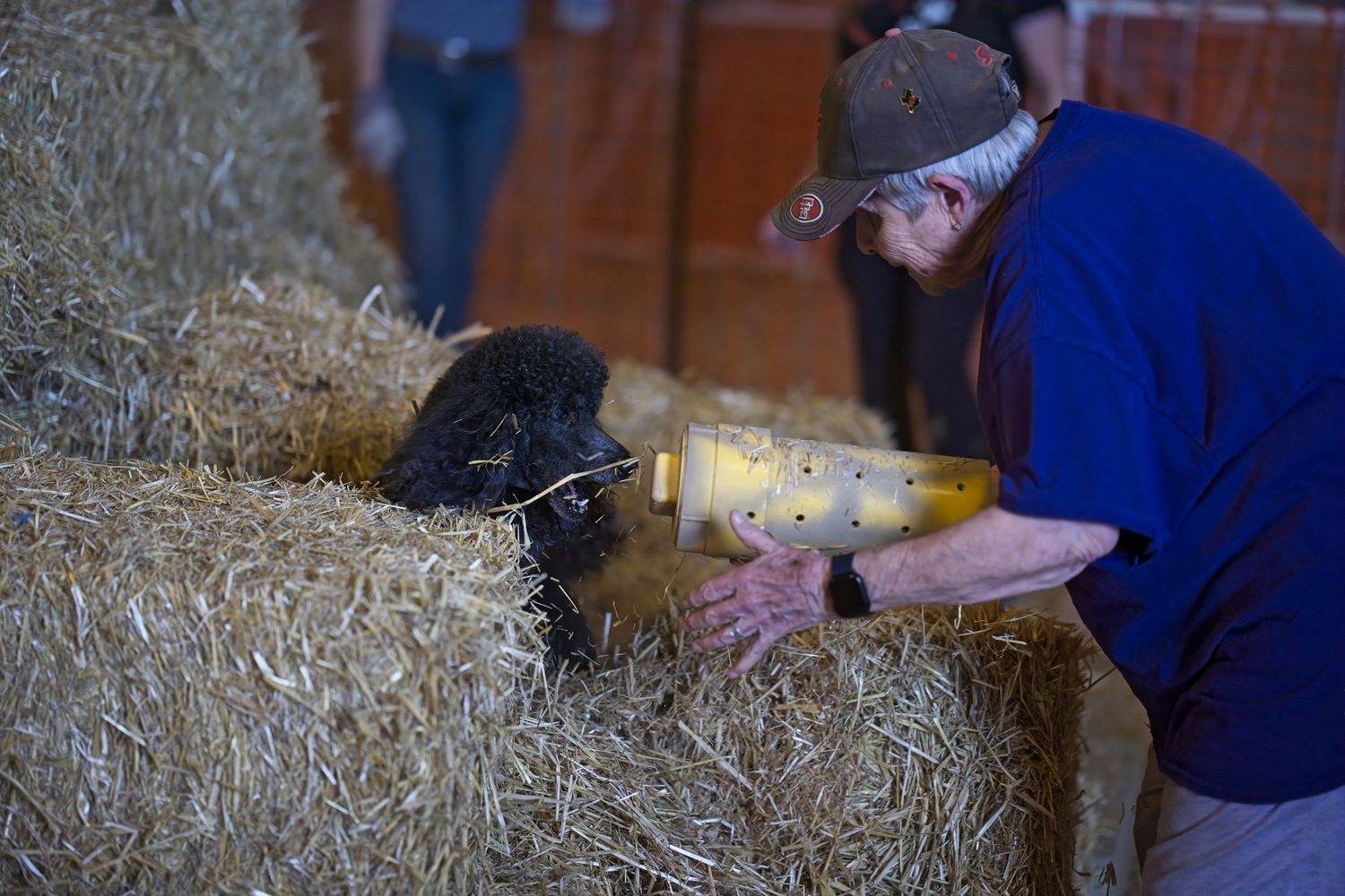 A person wearing blue clothing stacks hay bales in a barn storage area.