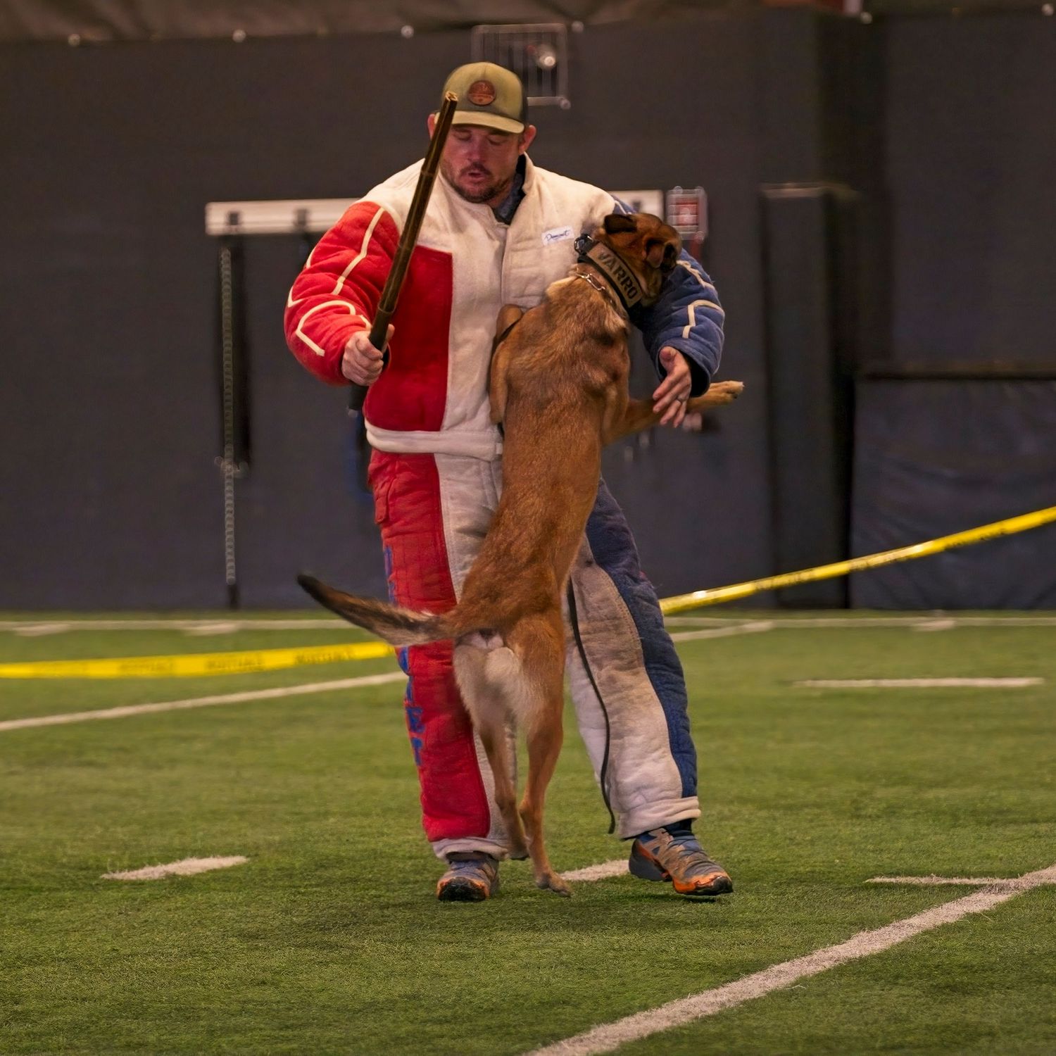 A person in a red shirt plays with a large inflatable T-Rex costume on a sports field at night.