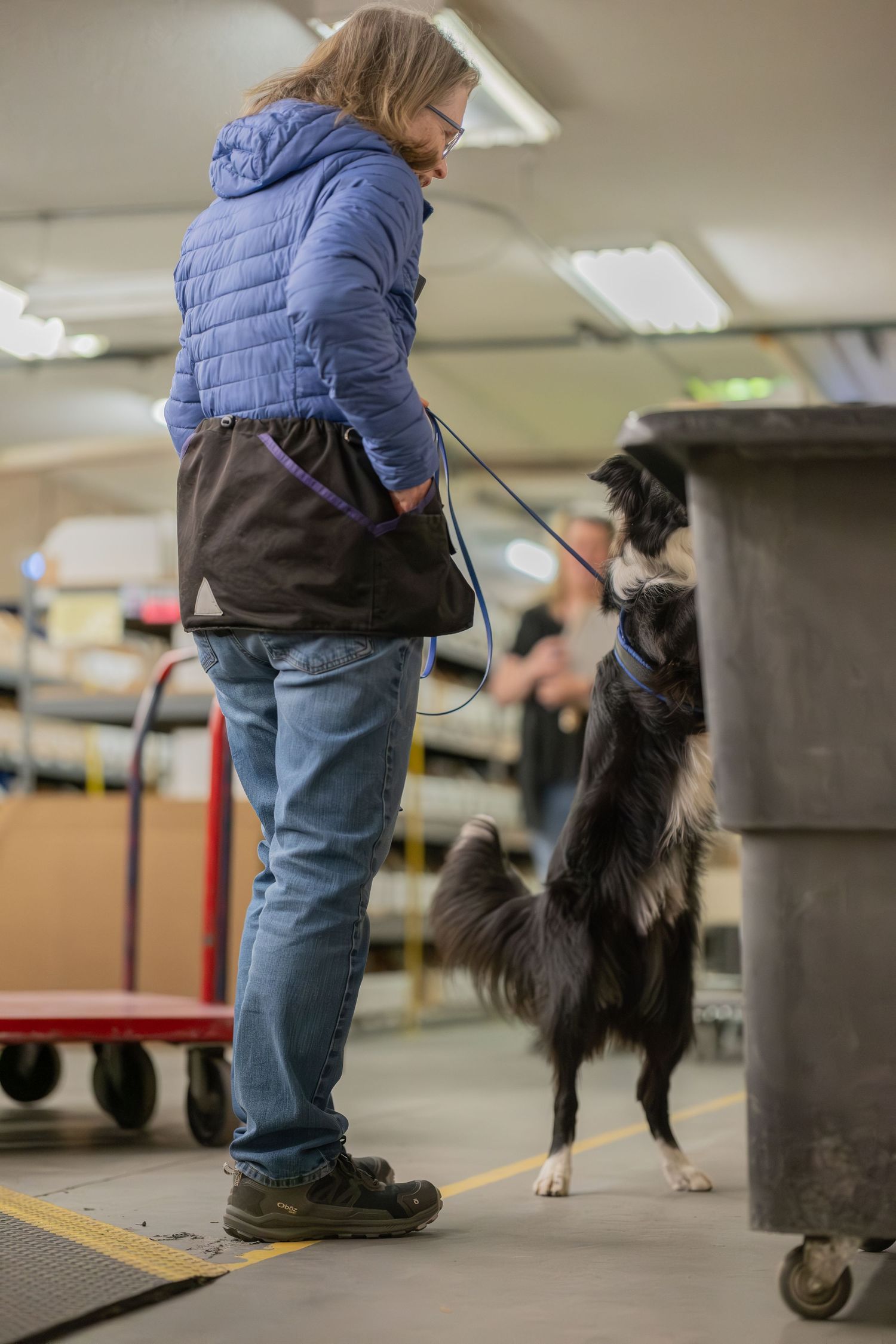 Woman in blue jacket training a black and white Border Collie on a leash inside a warehouse facility.