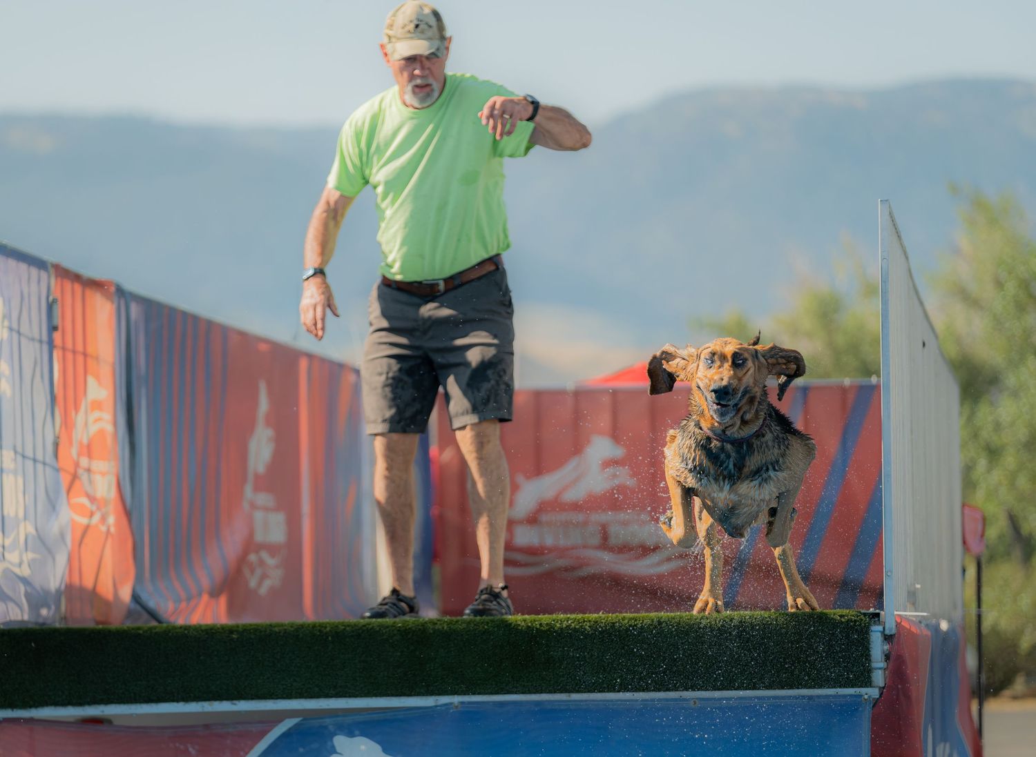 Man in green shirt directing a wet dog on a colorful dock diving platform outdoors.