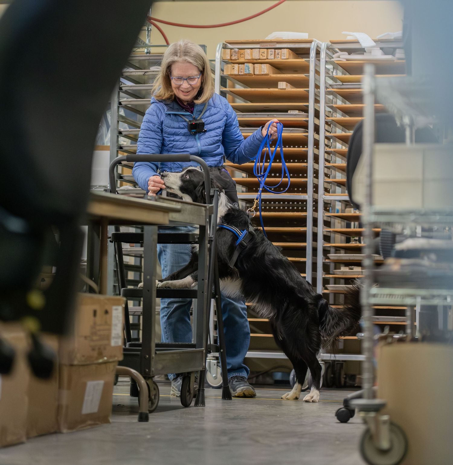 Woman in blue jacket holding leash with black dog standing on hind legs in industrial bakery warehouse setting.