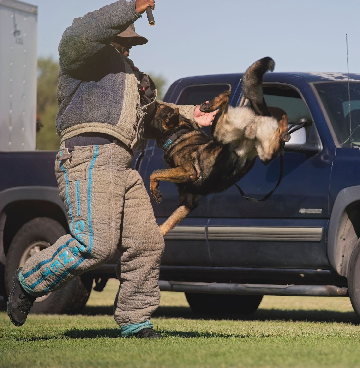 Dog and handler practicing agility training exercises with jumps and obstacles in an outdoor field setting.