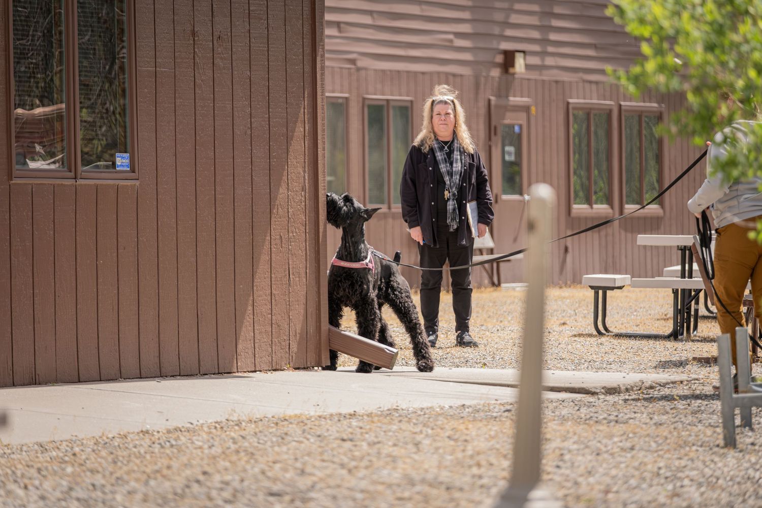 Woman with long blonde hair walking a black dog on a leash outside a rustic building on a gravel path.