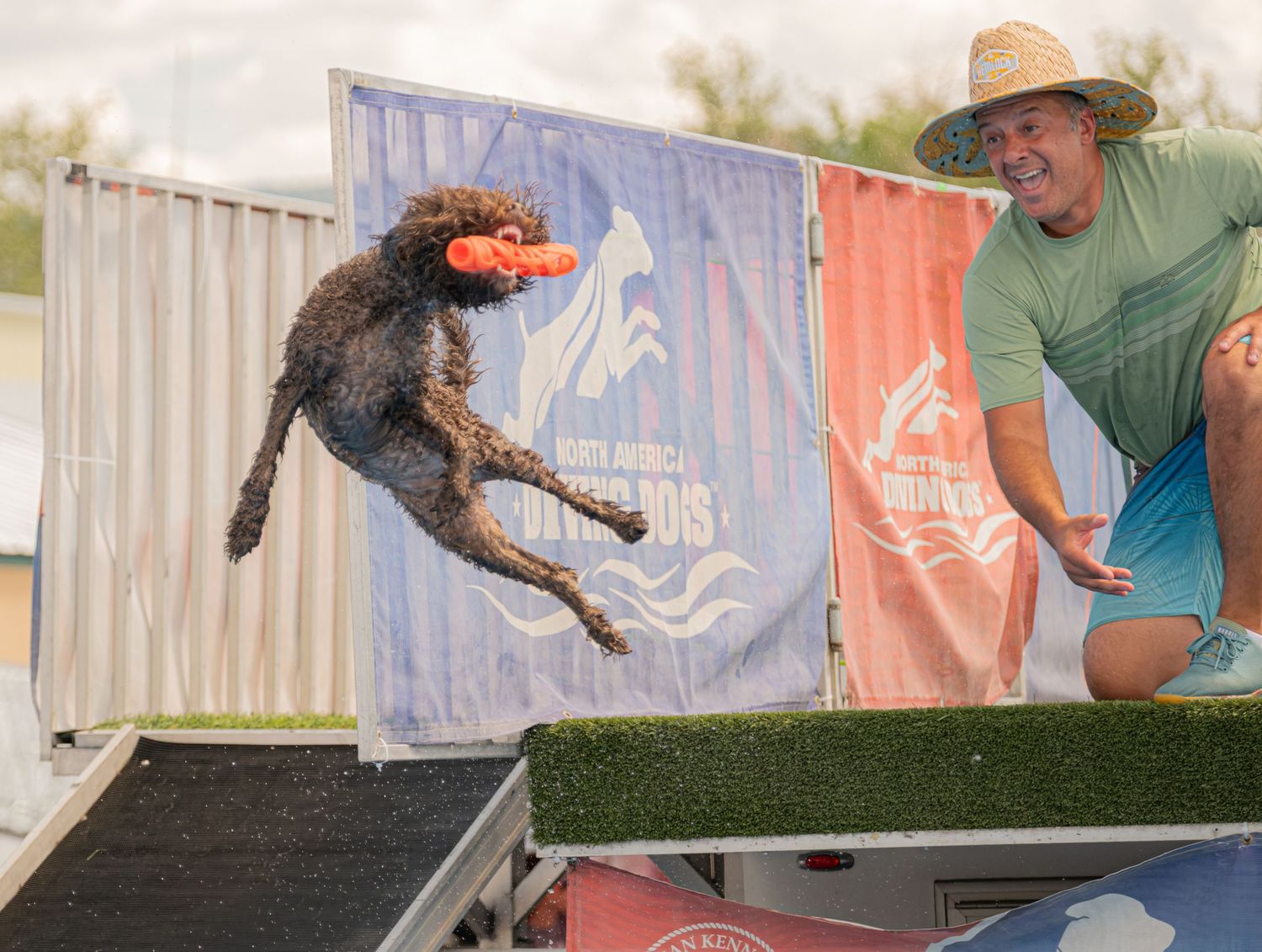 A brown dog leaps off a dock catching a frisbee while a smiling man in a straw hat cheers at an outdoor competition.
