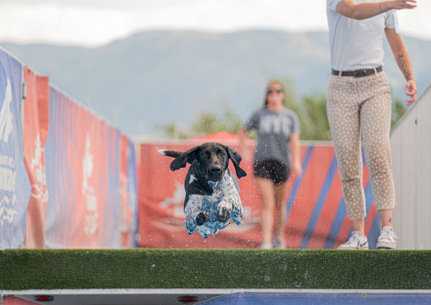 A black dog leaps mid-air during an agility competition with handlers watching in the background.