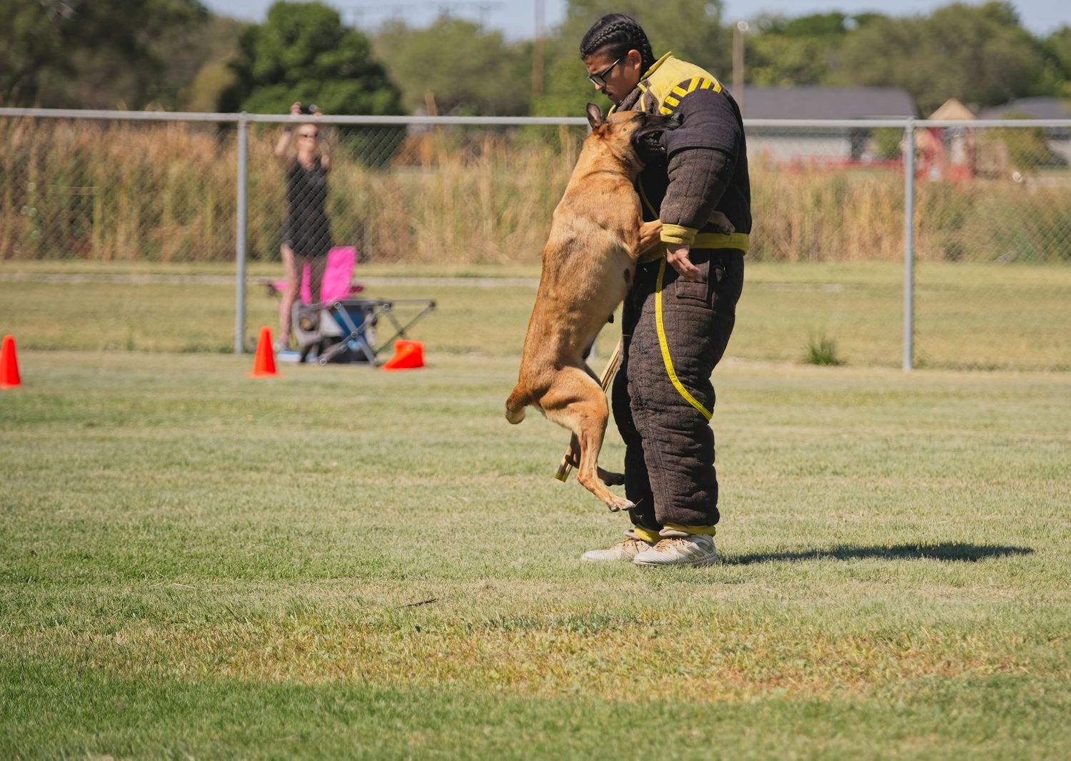 Dog training session on a sunny field with handlers practicing agility and obedience exercises.
