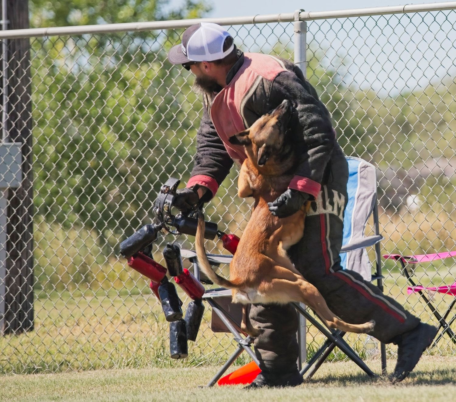 A sequence of dog agility training photos showing a German Shepherd performing jumps and obstacles on a course.