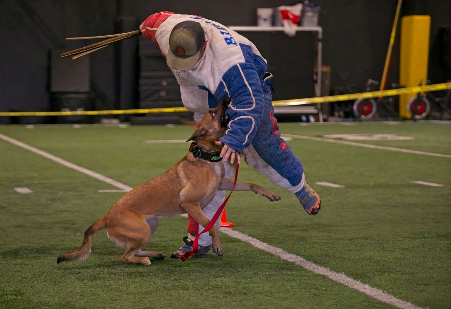Football player in blue jersey gets tackled during game play as the ball comes loose on the field.