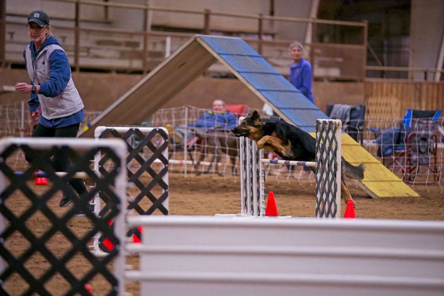 A dog navigates through an agility course with jumps and obstacles during a competitive event.