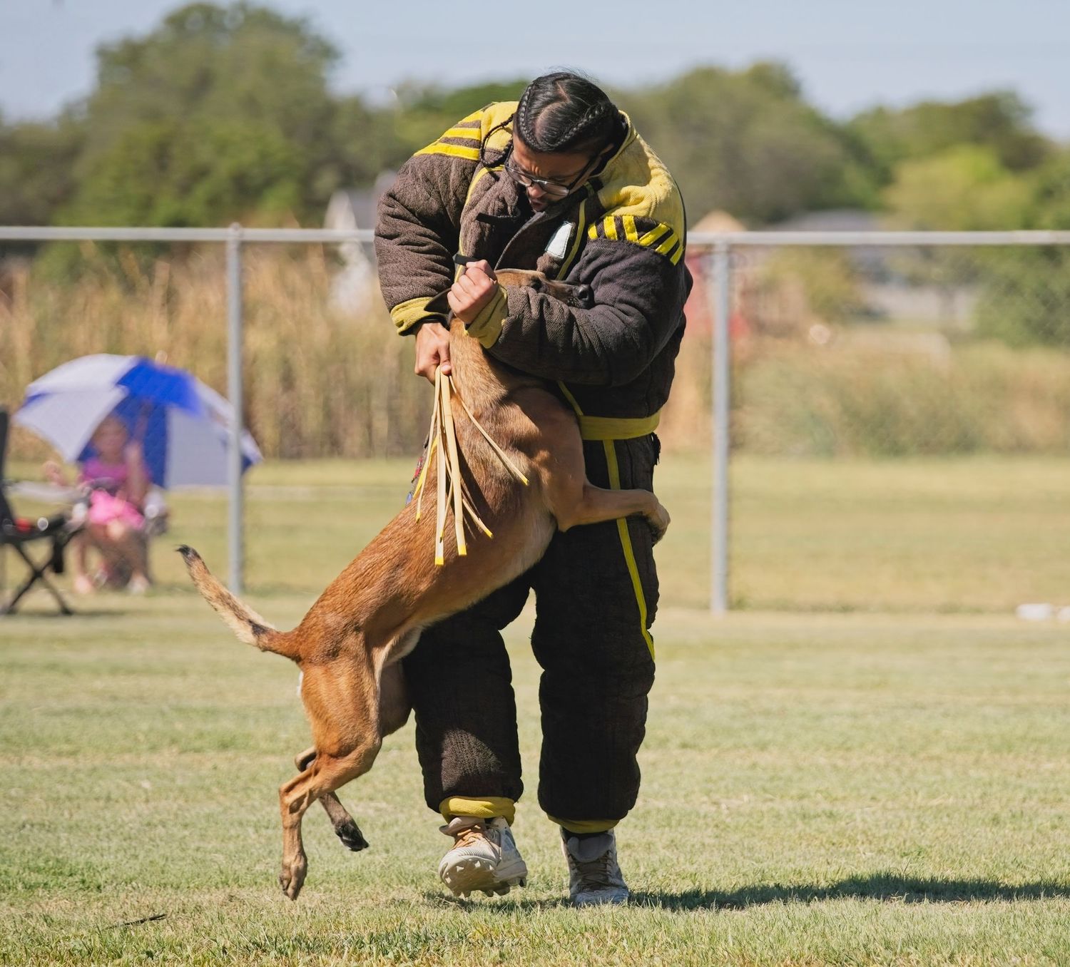 A sequence of photos showing a dog practicing agility training exercises in an outdoor field.