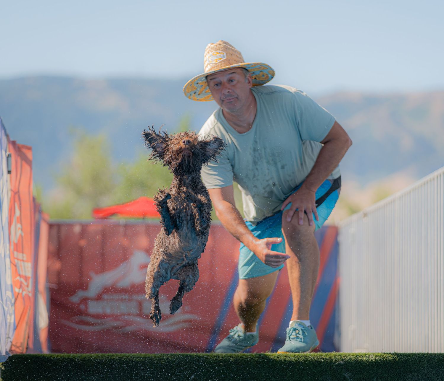 Man in straw hat plays fetch with a small dark curly-haired dog jumping mid-air at an outdoor dog sports event.