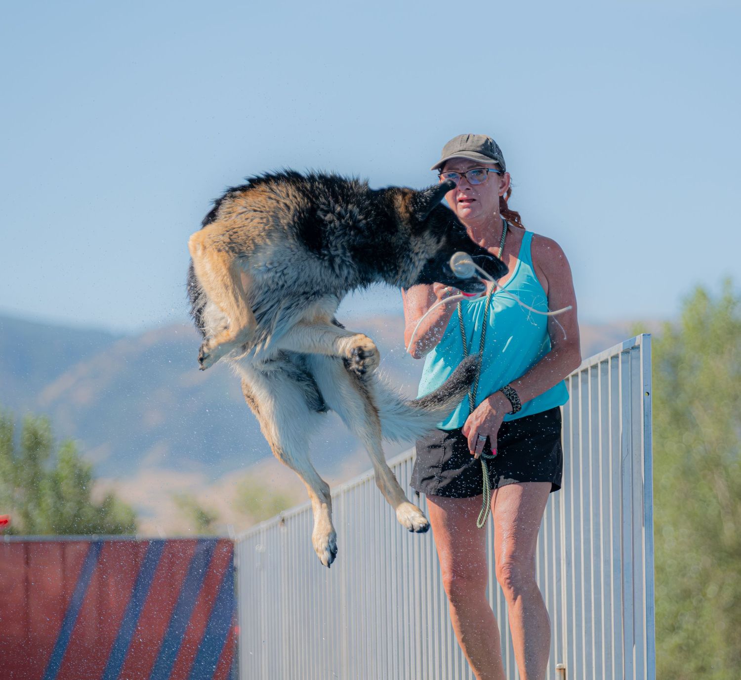 Woman in teal tank top training a large dog jumping mid-air outdoors with mountains in the background.