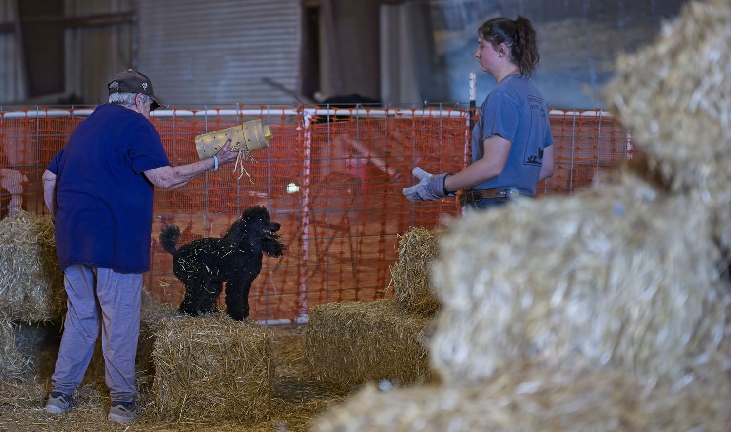 A group of people working together to stack hay bales in a barn or agricultural storage area.