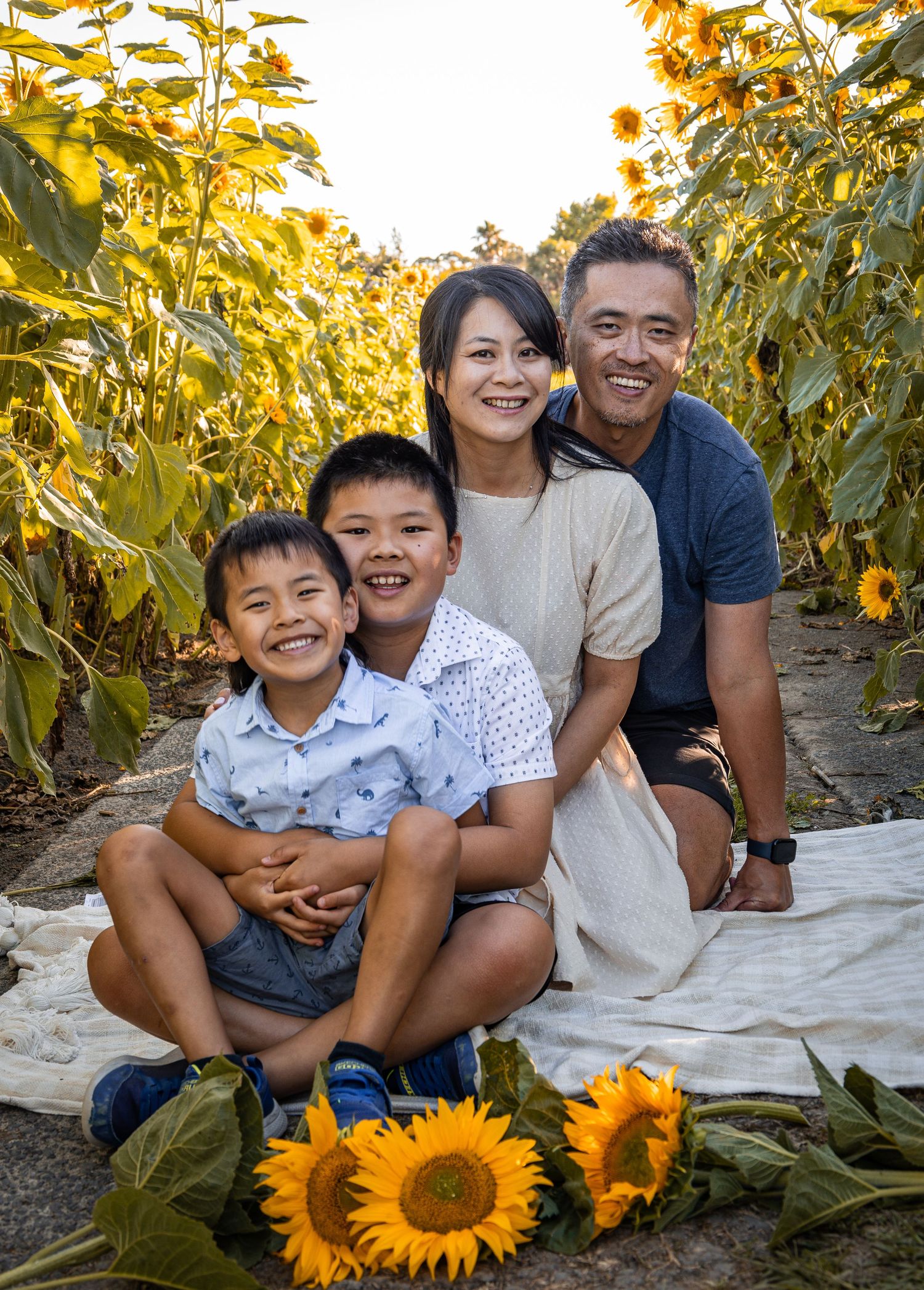 Sunflower mini sessions