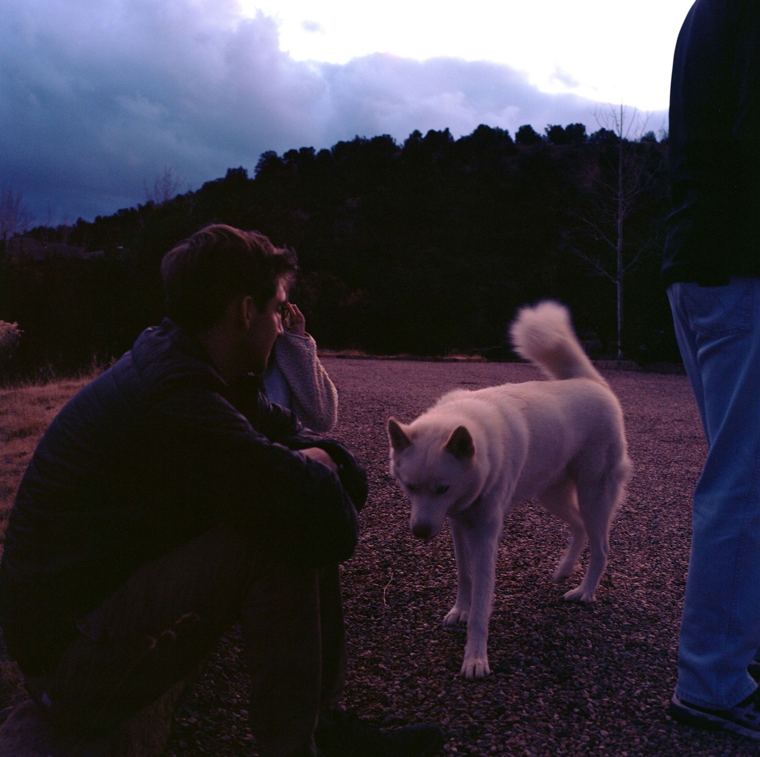 A white dog interacts with someone on a rocky trail at dusk with dark storm clouds overhead.