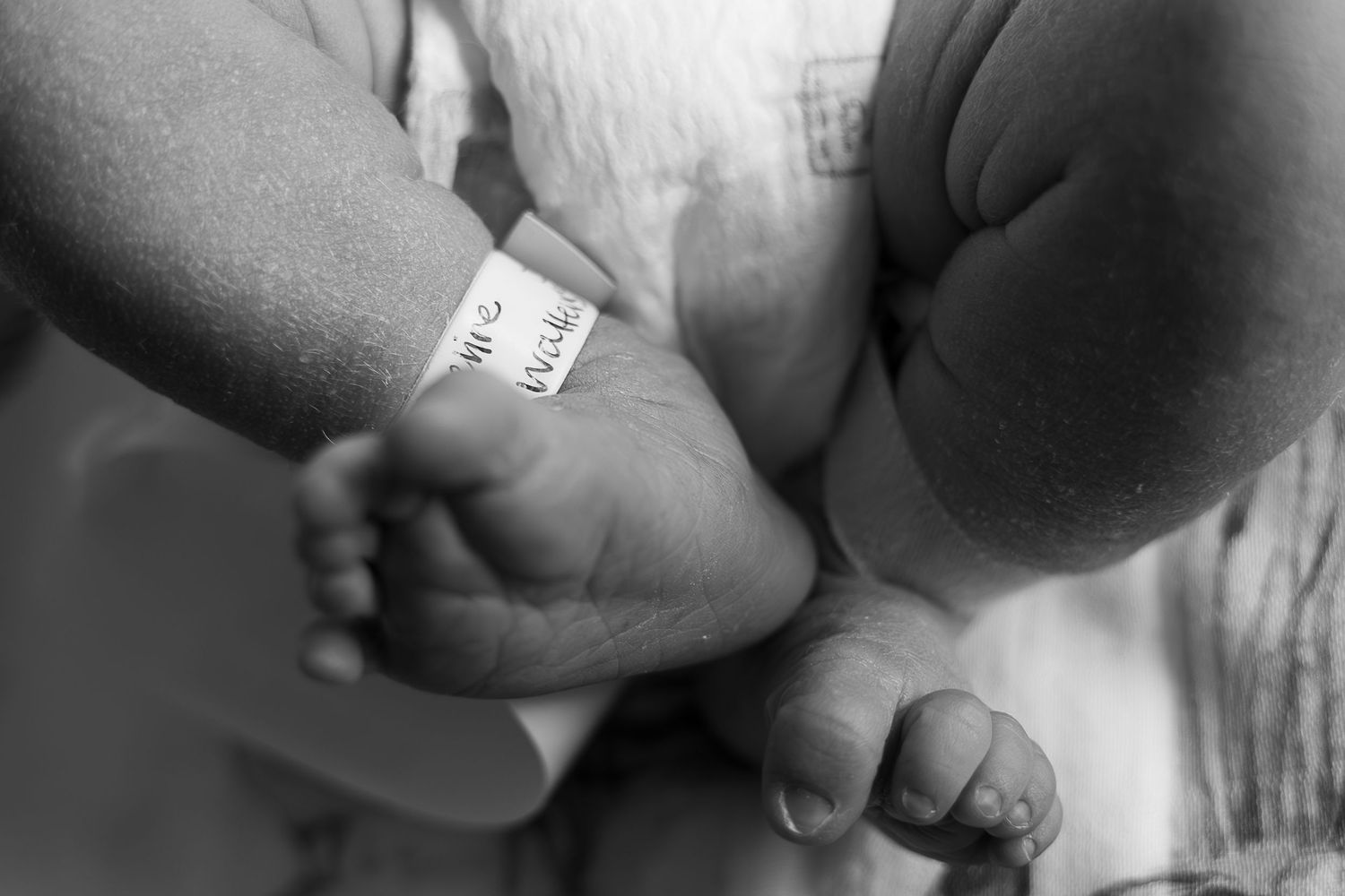 A series of black and white photographs showing close-up details of hands and fingers in various poses and gestures.