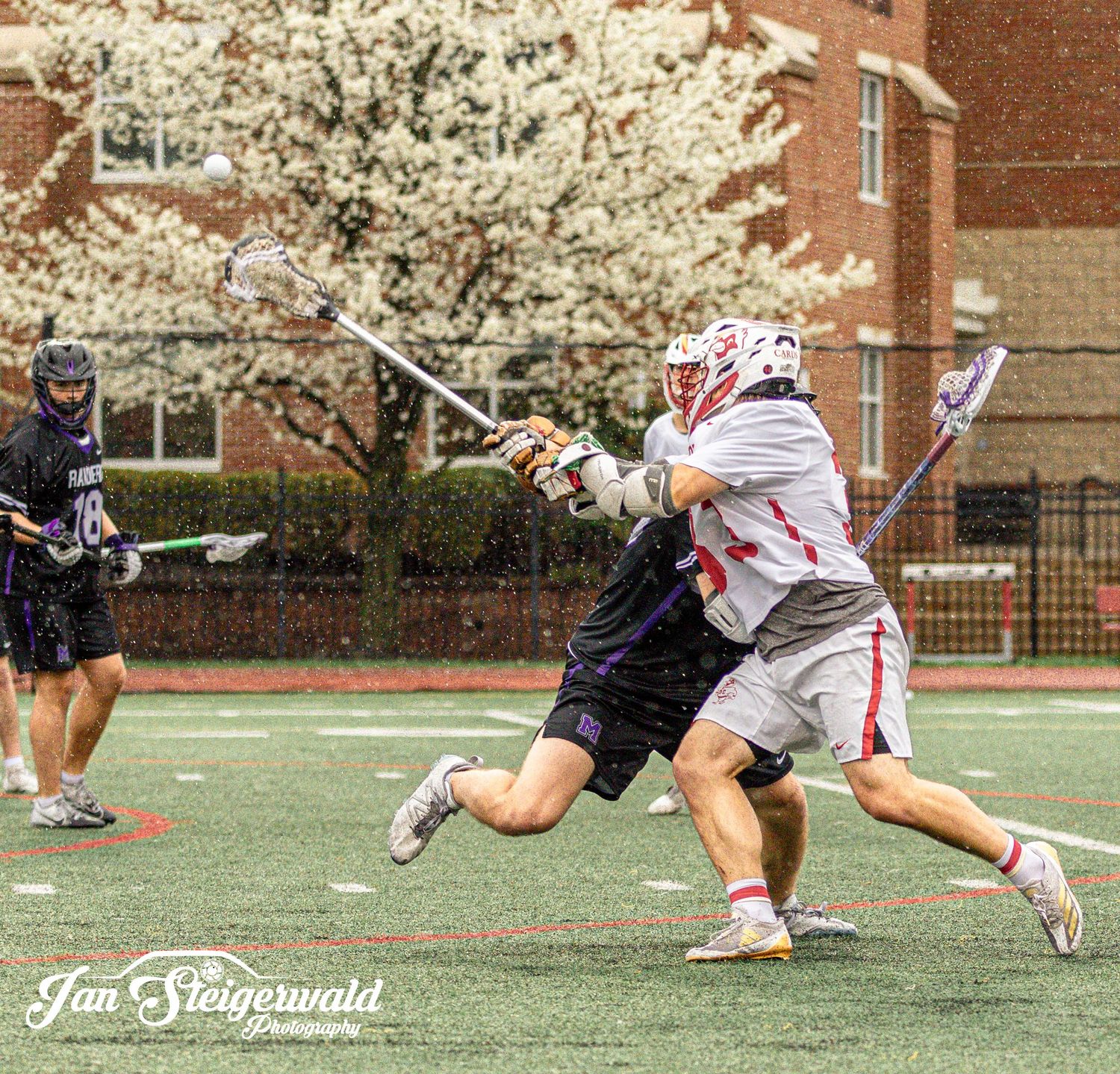 Lacrosse players compete in an intense game on a turf field with blooming cherry blossoms in the background.