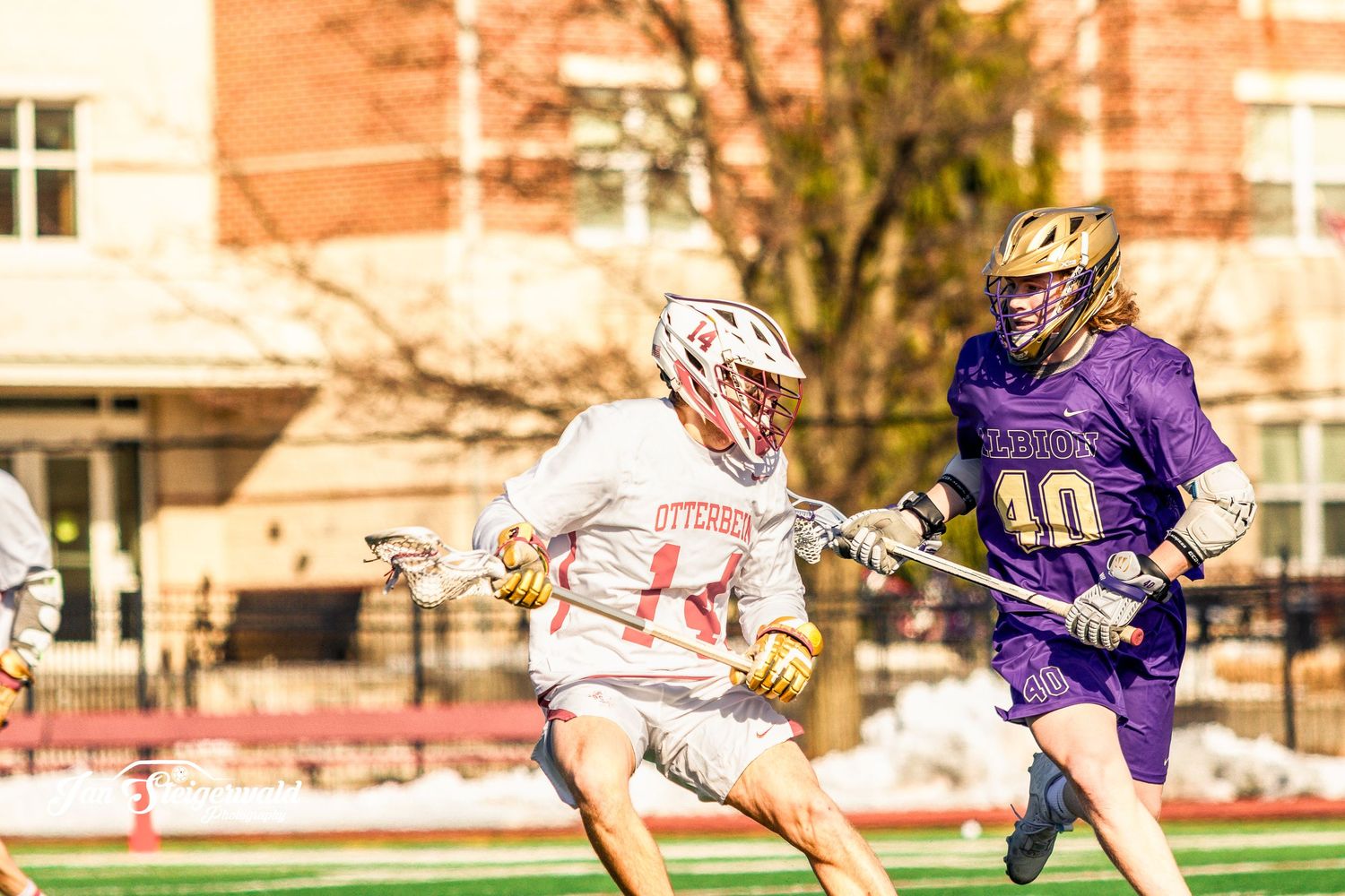 College lacrosse players in white and purple uniforms compete during a sunny outdoor match on a field.