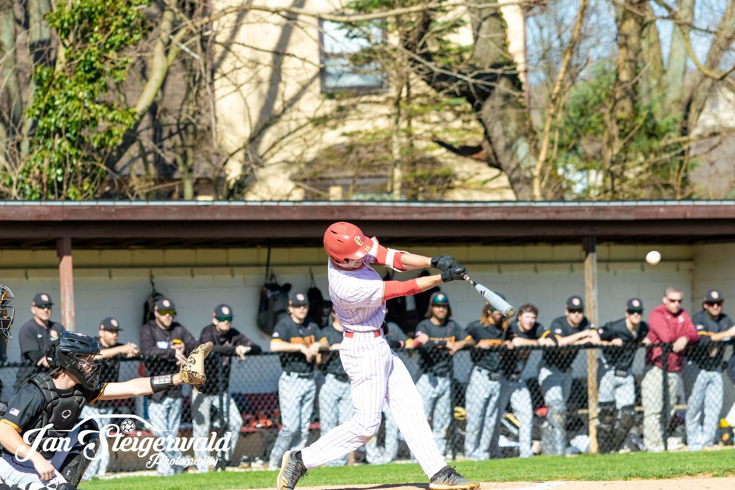 Baseball players sit in dugout as observers watch from behind at a sunny afternoon game with trees in background.