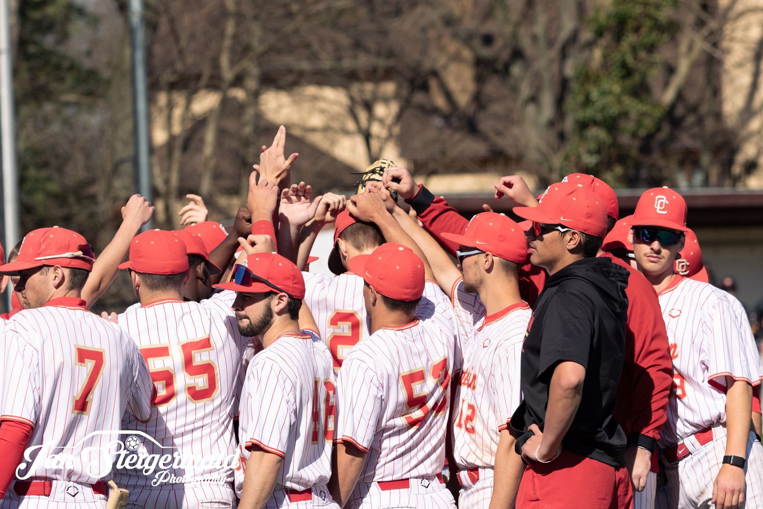 Baseball team in white uniforms with red caps celebrates together during a sunny game on the field.