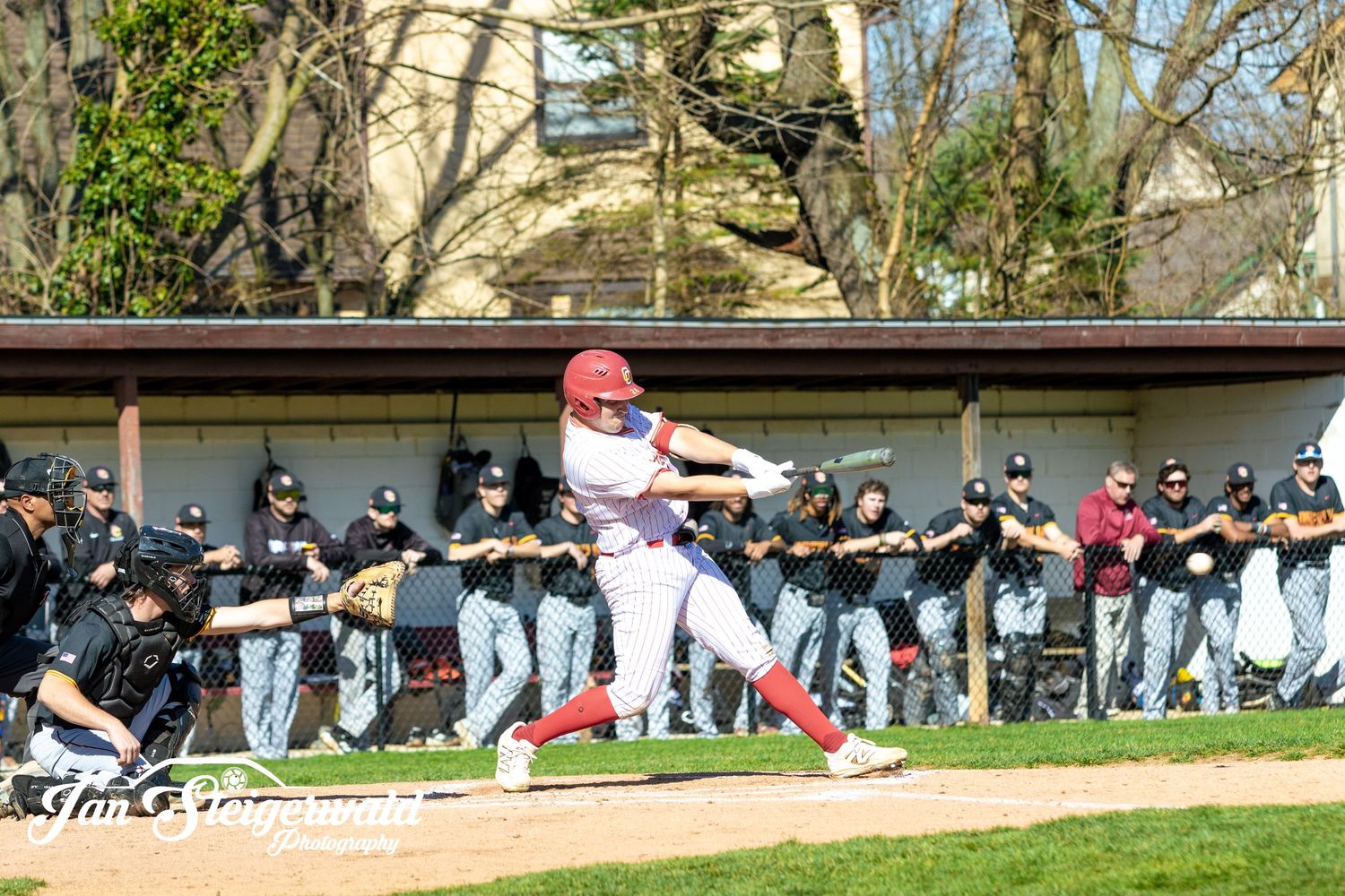 Baseball panoramic photo showing players lined up along dugout fence during a game at an outdoor baseball field.