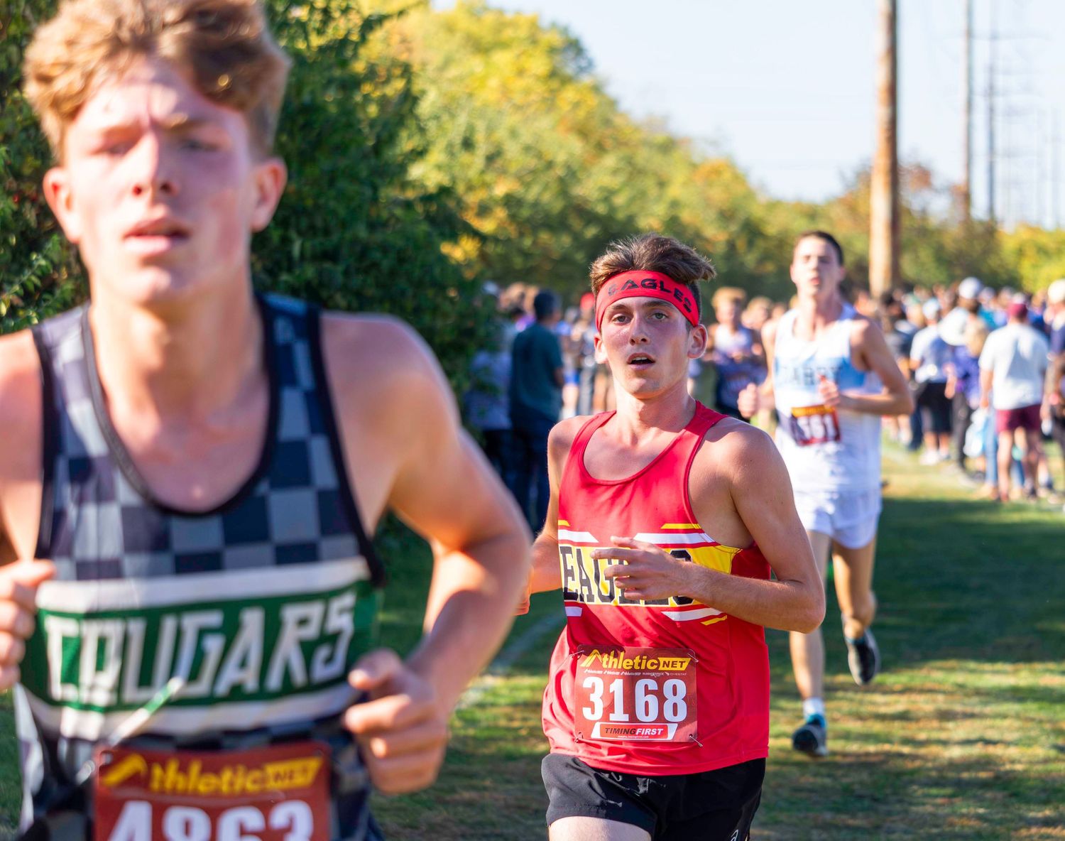Cross country runners competing on sunny trail course during race.
