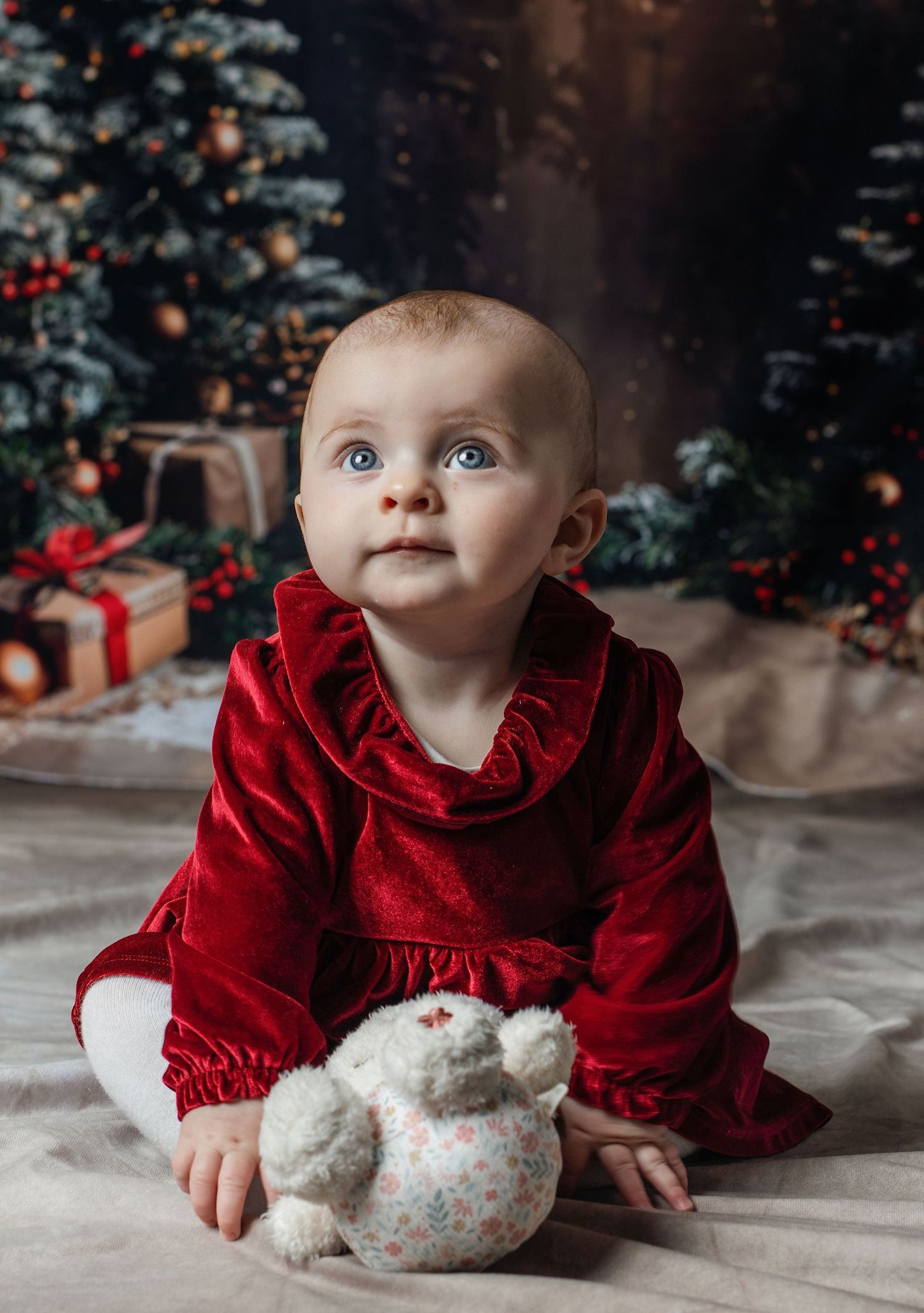 Familly Photography