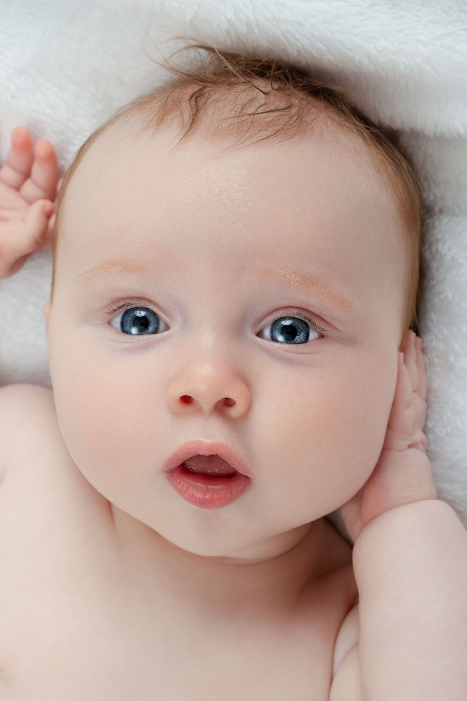 Newborn Photographer Zigzag Photography