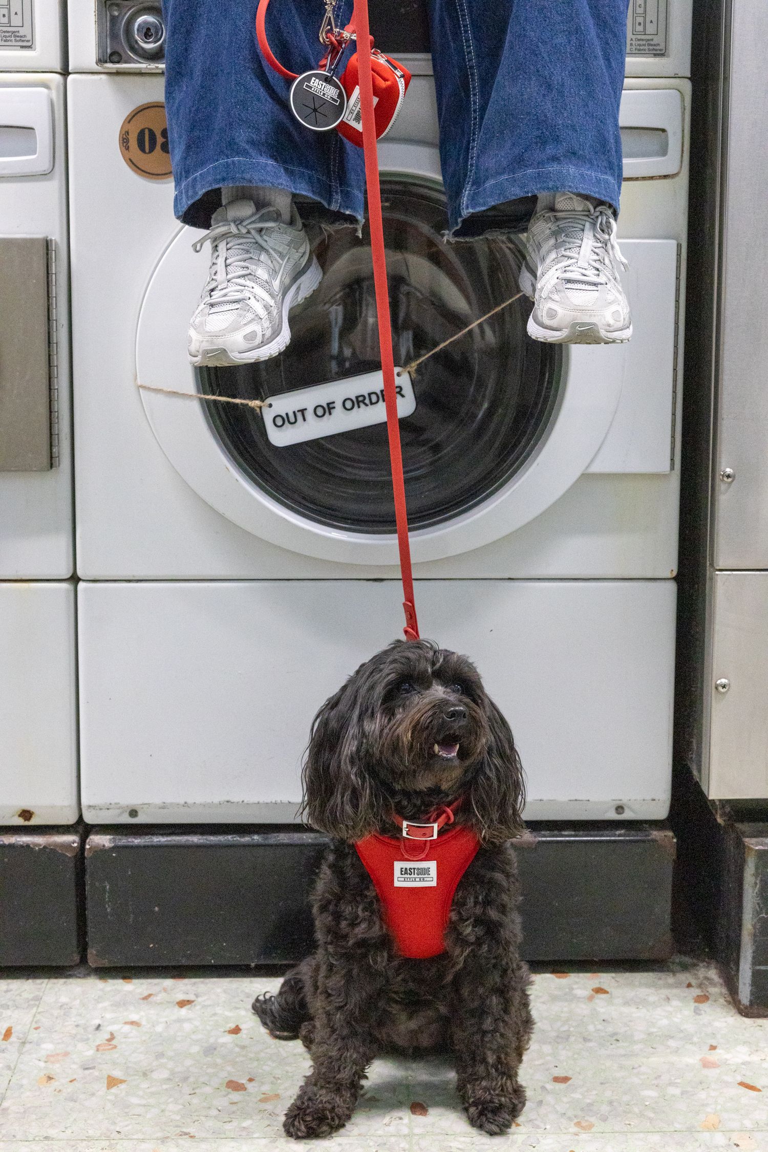 Dog in a red Eastside Style Co harness sitting beneath its owner's feet at a laundromat