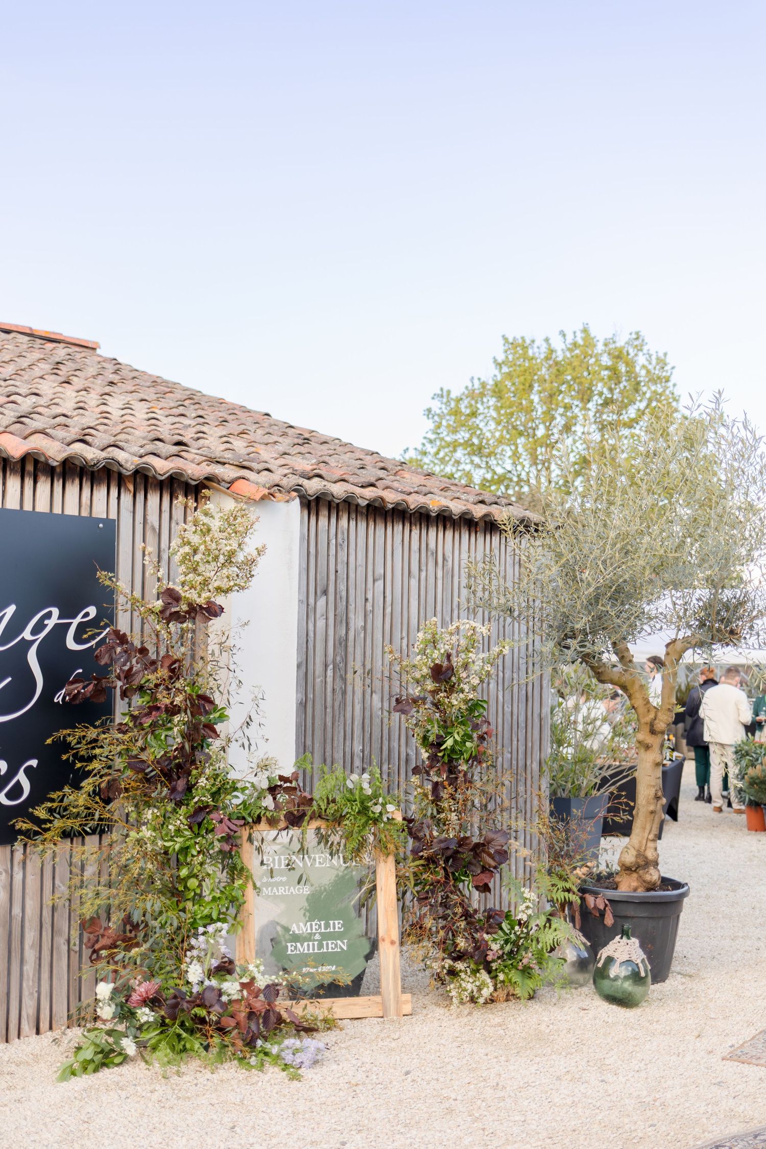 Weathered wooden building exterior with climbing vines and rustic decor.