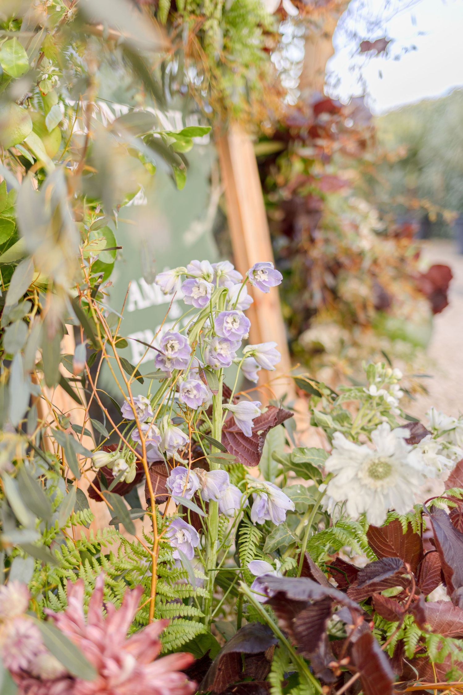 Close-up of delicate purple flowers and greenery in a garden setting.