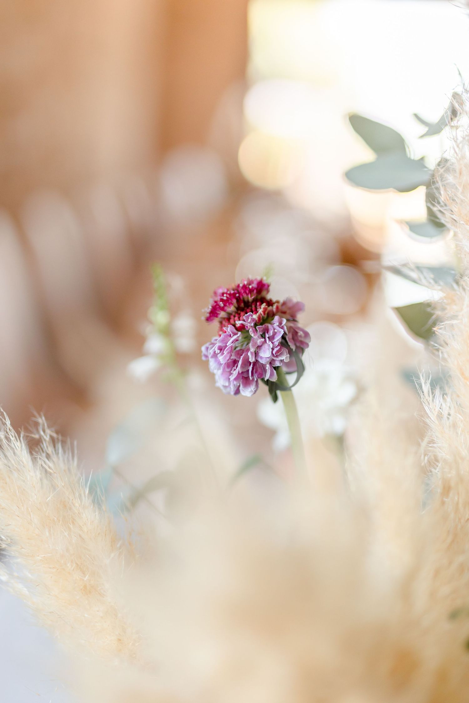 Purple flower in soft focus with dreamy bokeh background.