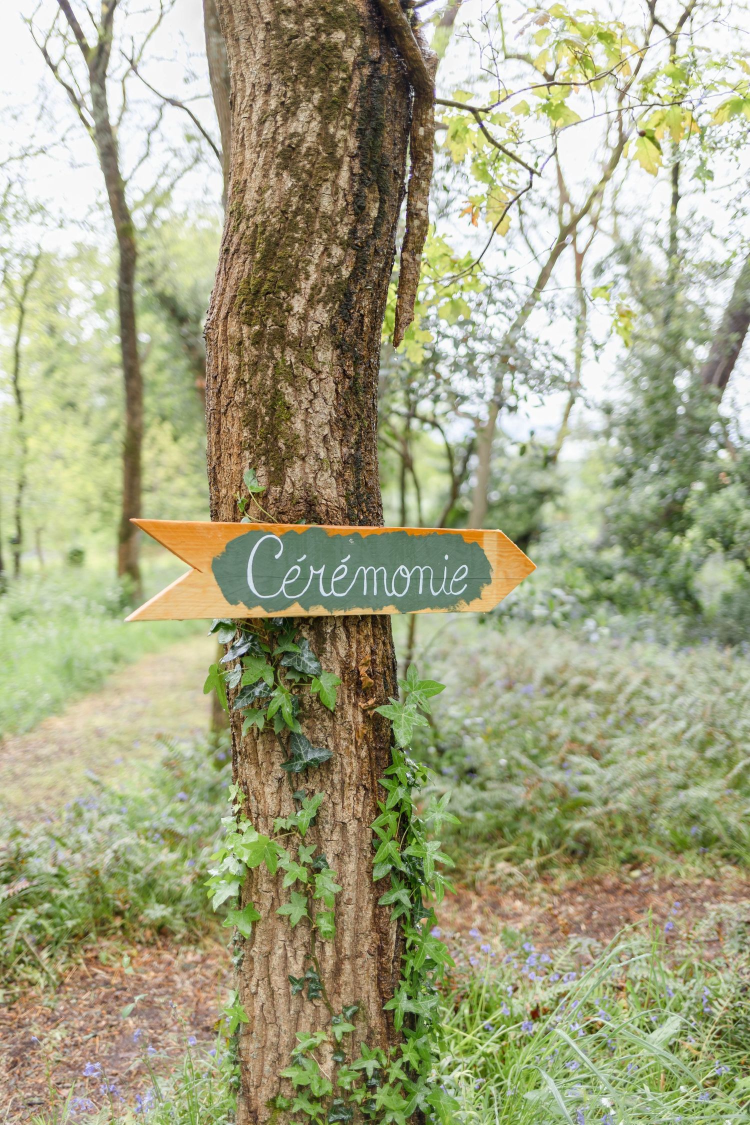 Wooden directional arrow sign reading 'Ceremonie' attached to tree trunk in forest setting.