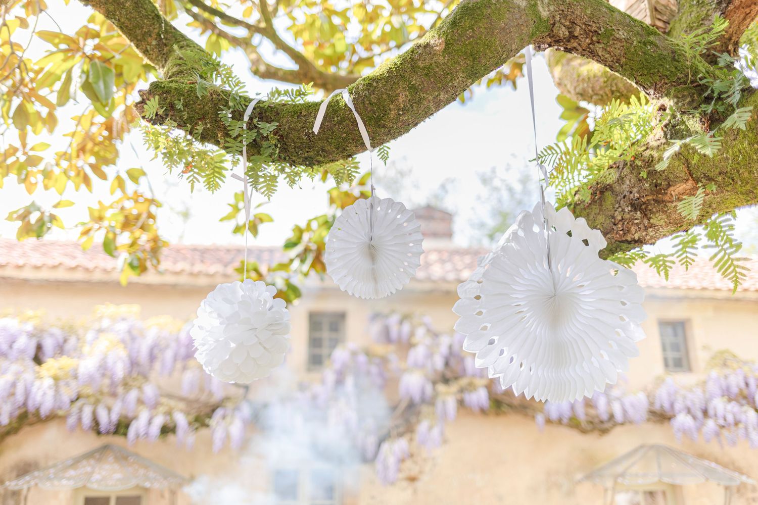 Sunlit garden scene with overhanging tree branches creating dappled light effects.