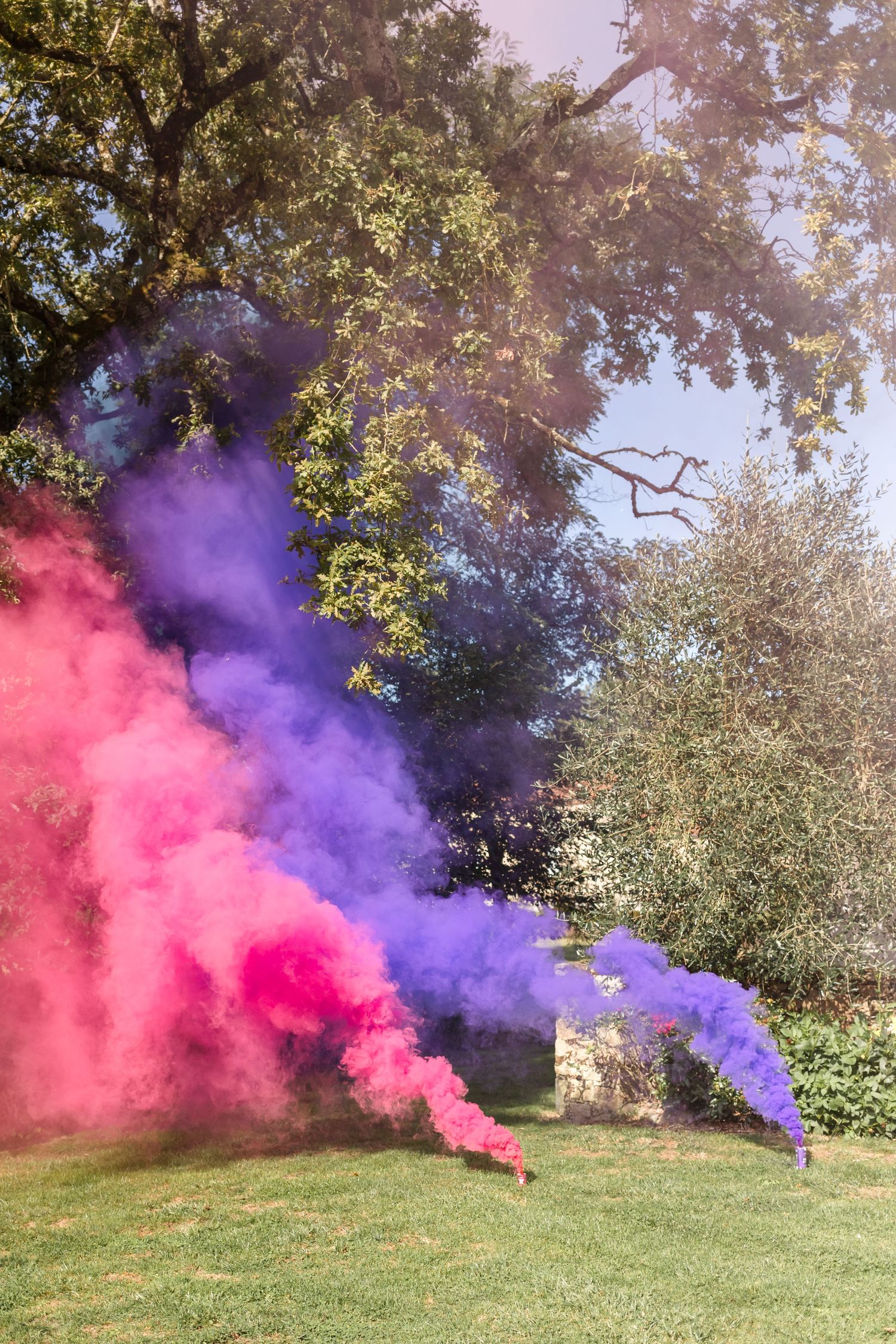 Pink and purple smoke bombs create dramatic effects across a sunny lawn.