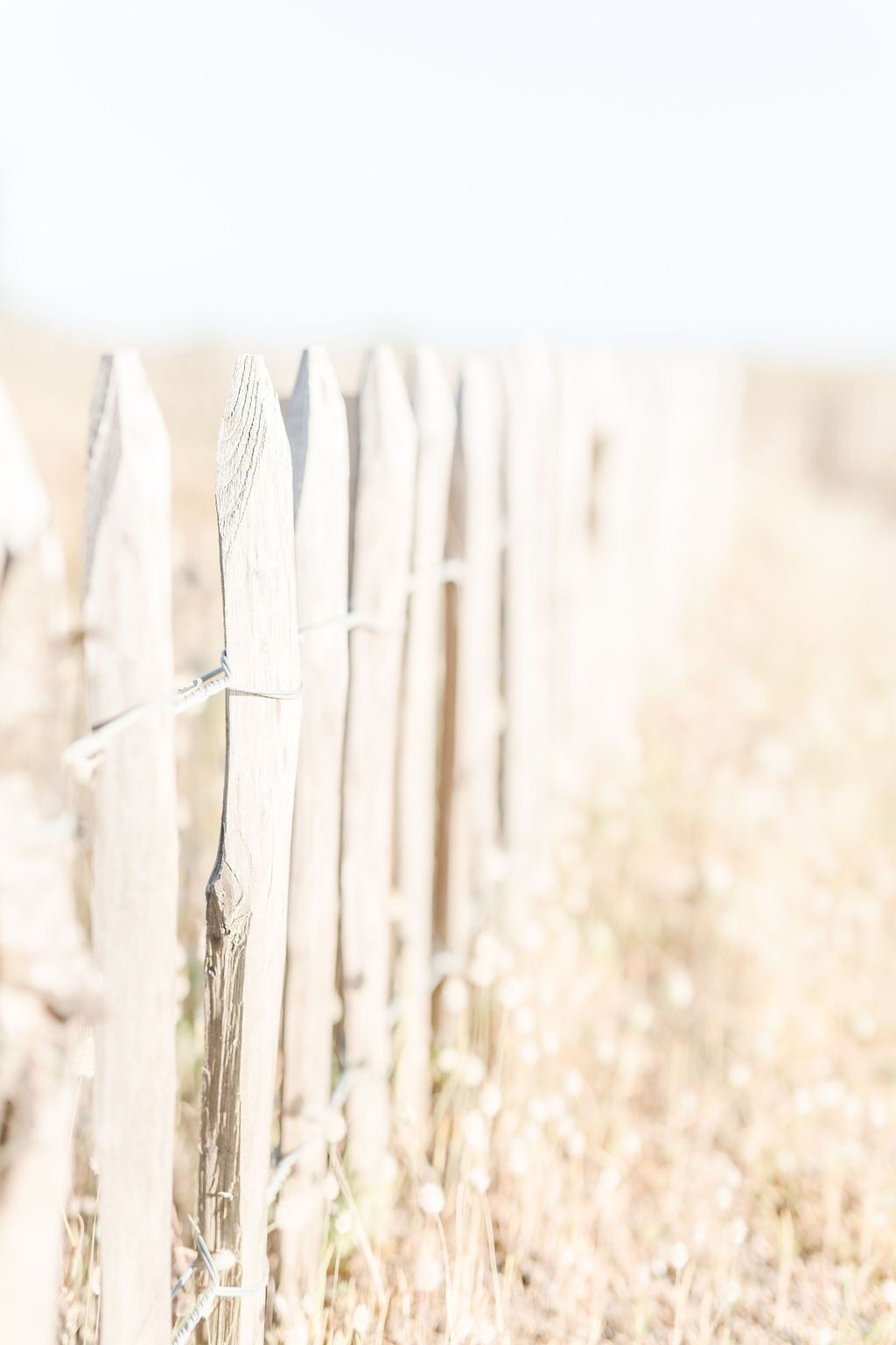 Close-up view of wooden beach fence posts in soft focus against a light background.