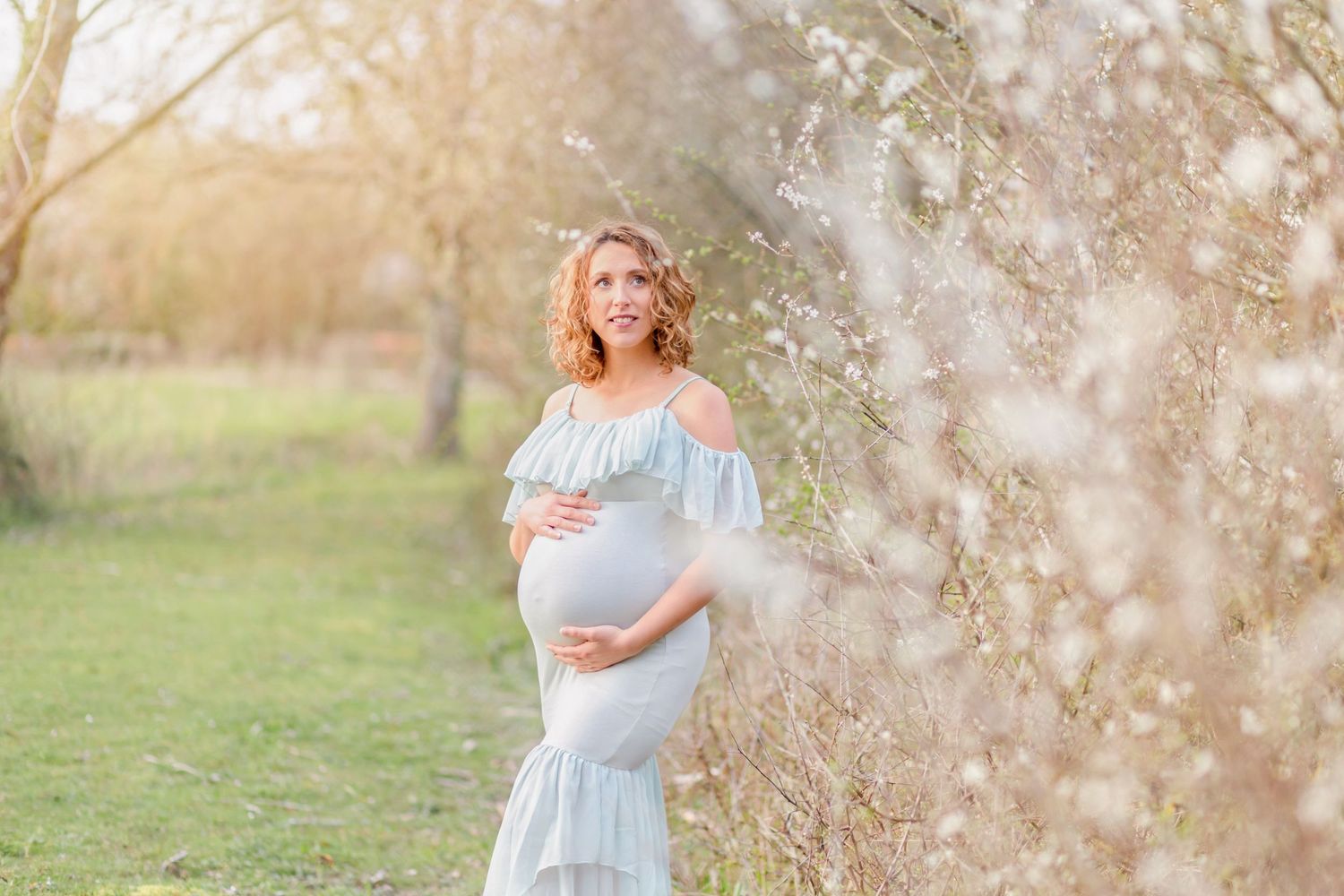 A dreamy springtime maternity photo with blooming branches and soft afternoon light.