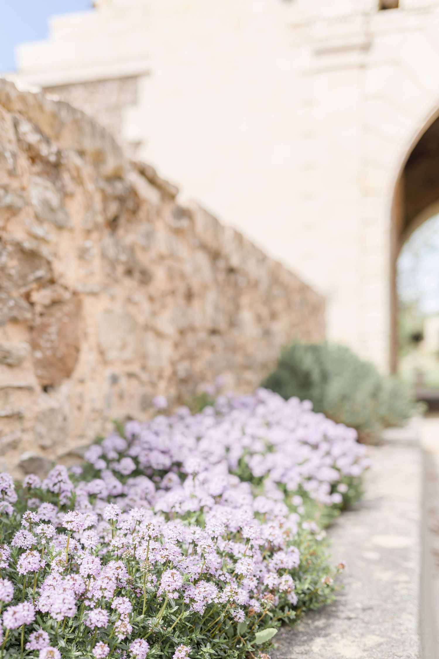 Purple wildflowers bloom along stone wall of historic building.