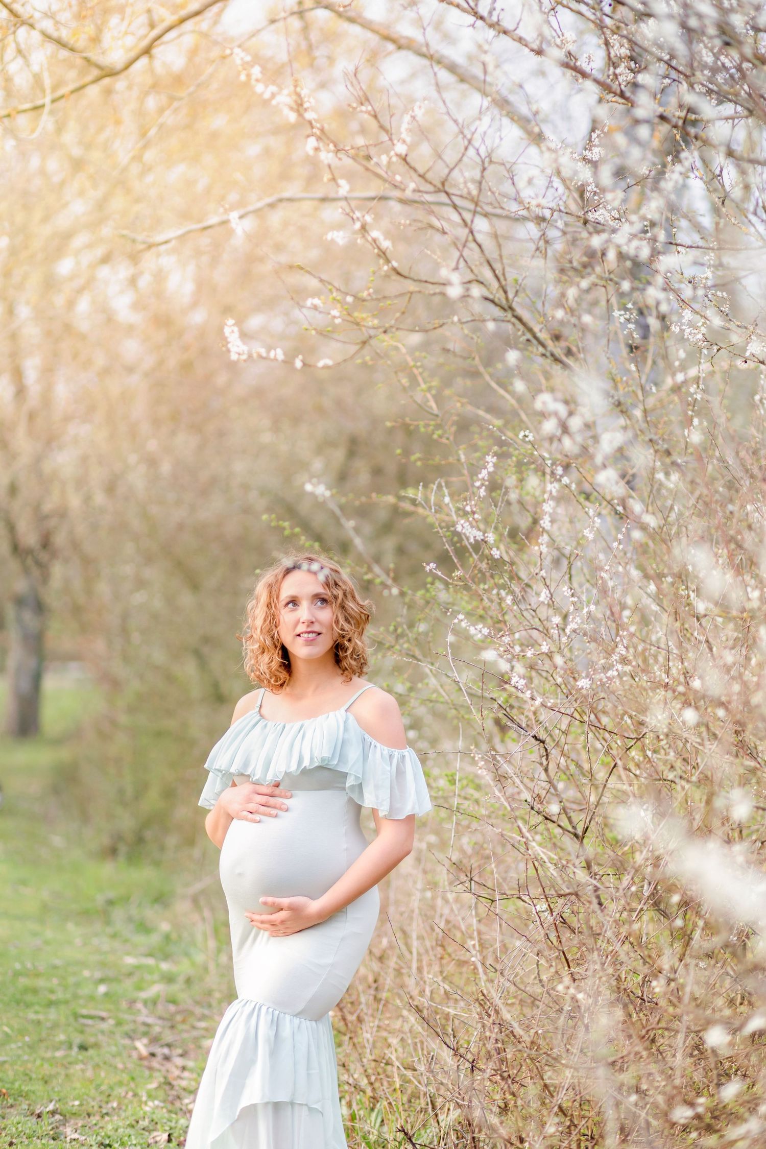 A beautiful maternity portrait beneath flowering spring trees with warm sunset lighting.