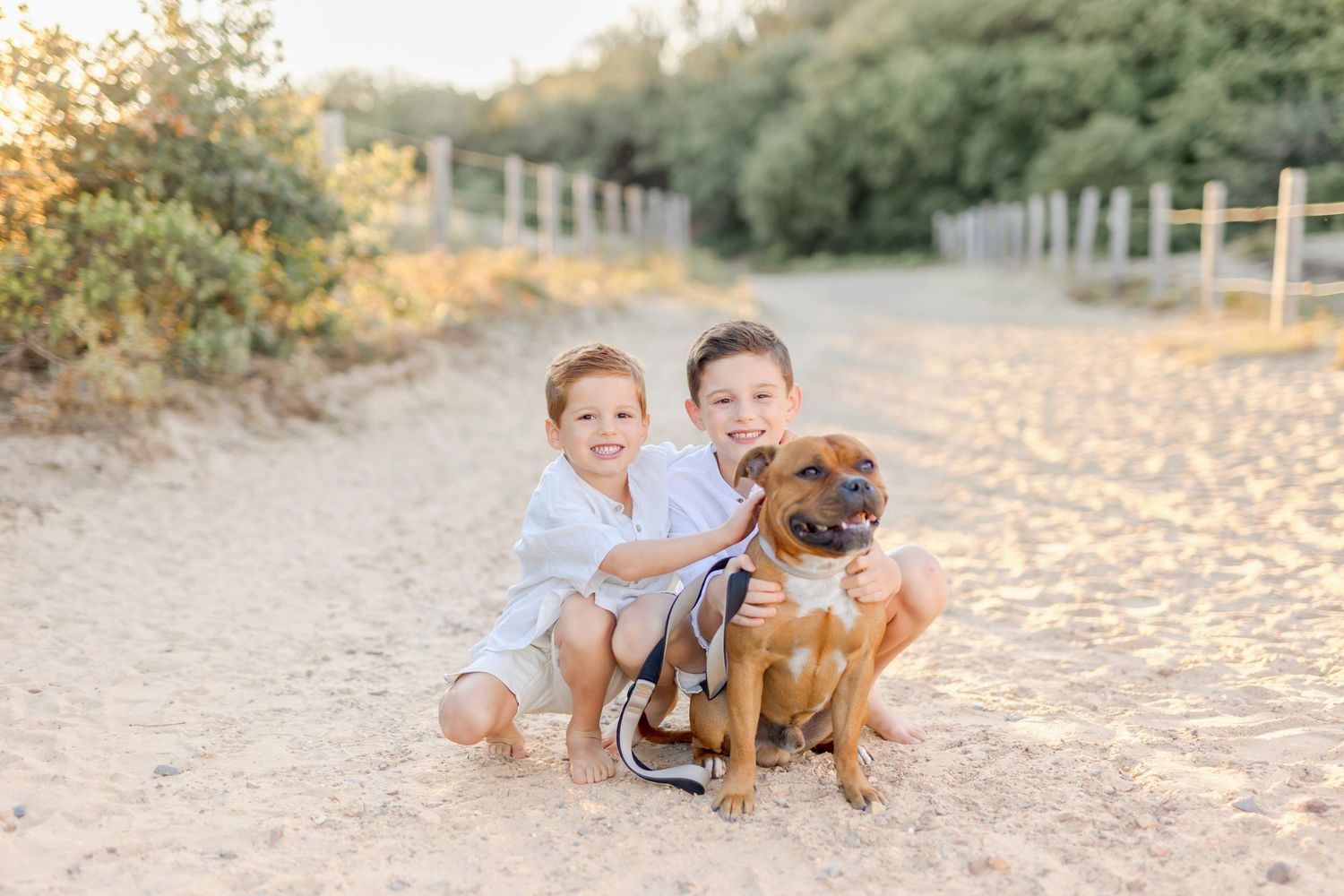 Children play with brown dog on sandy beach path during sunset.